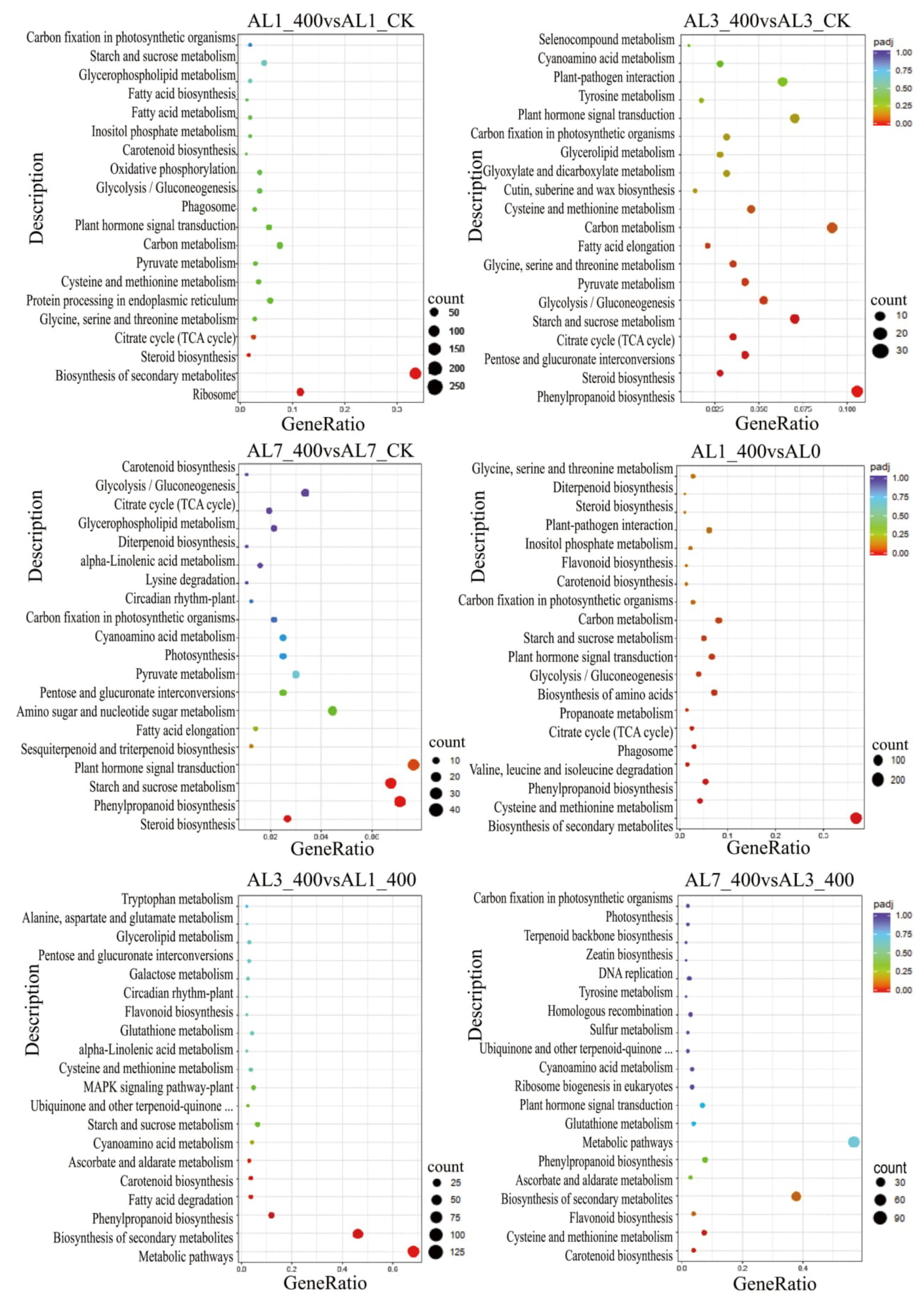 Ijms 21 09624 g007 Ijms 21 09624 g007