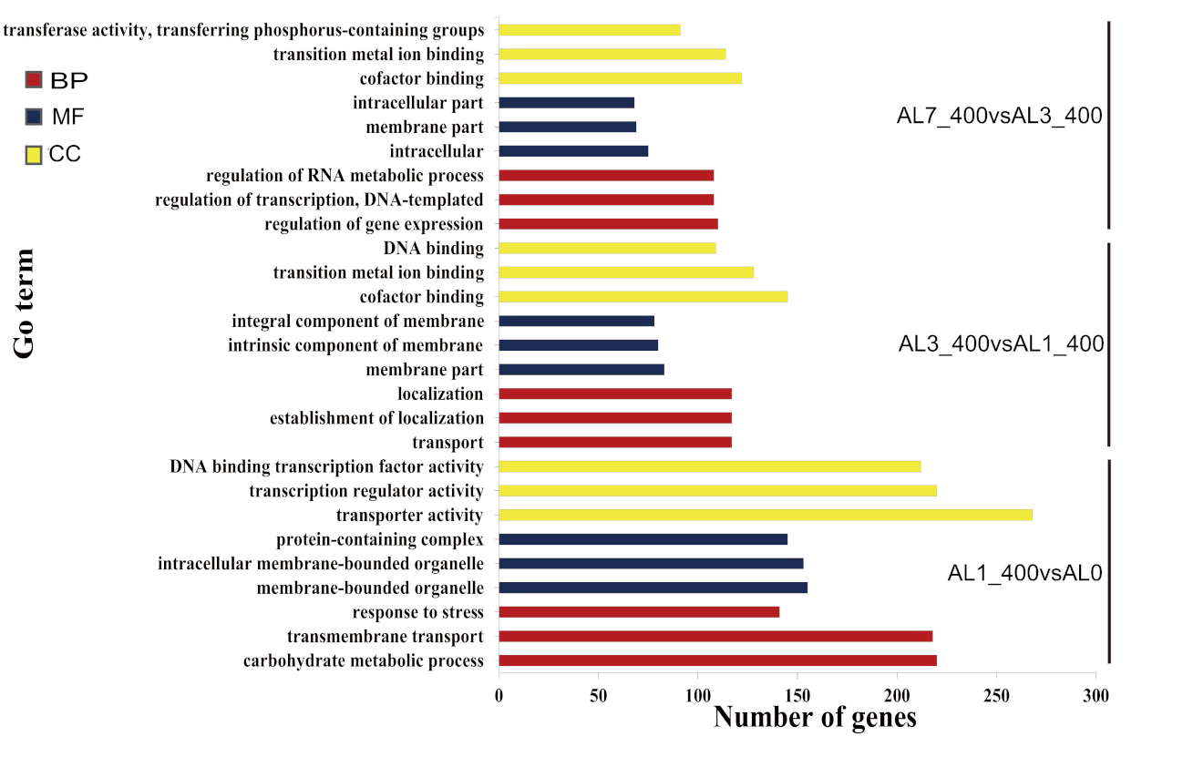 Ijms 21 09624 g008 Ijms 21 09624 g008