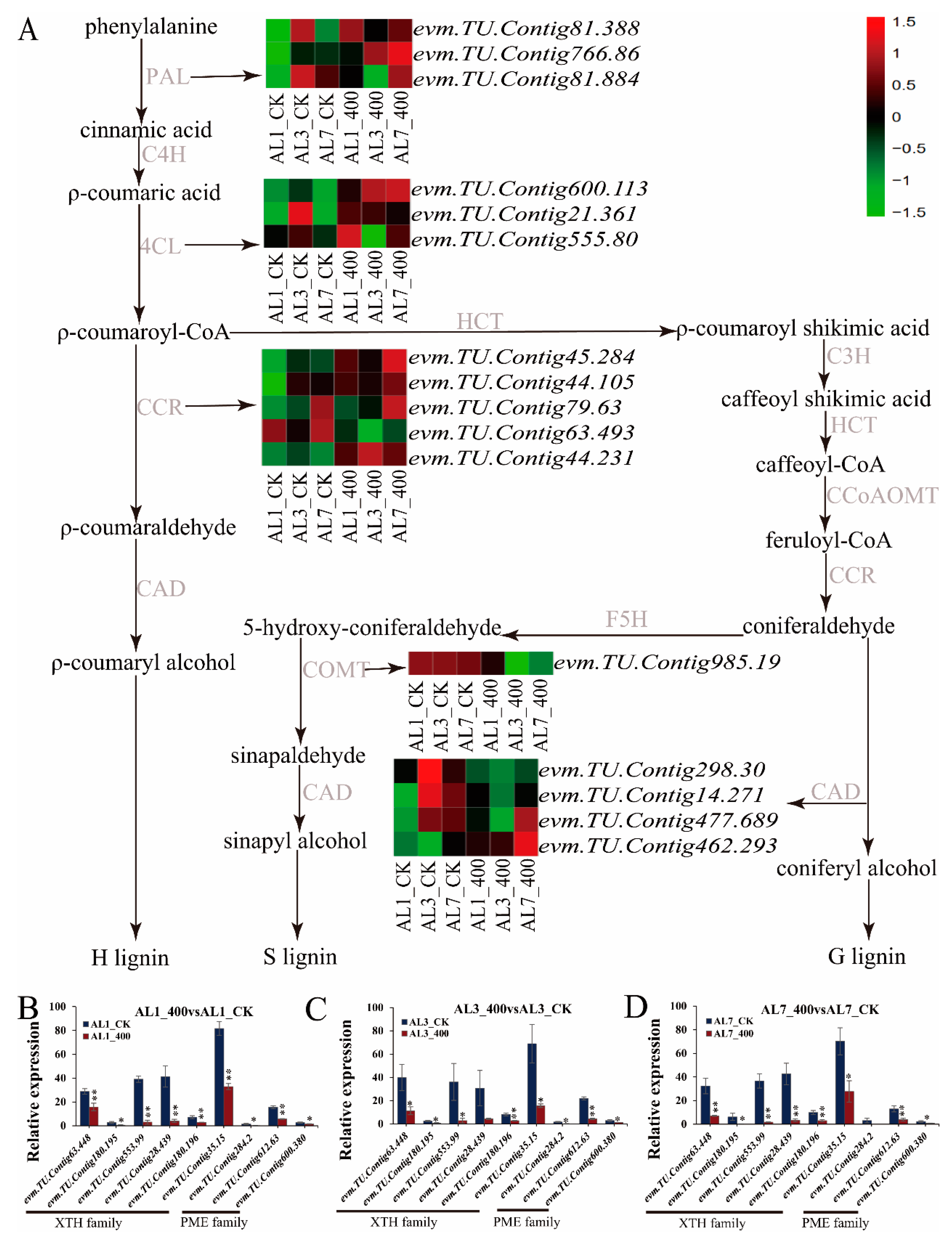 Ijms 21 09624 g009 Ijms 21 09624 g009