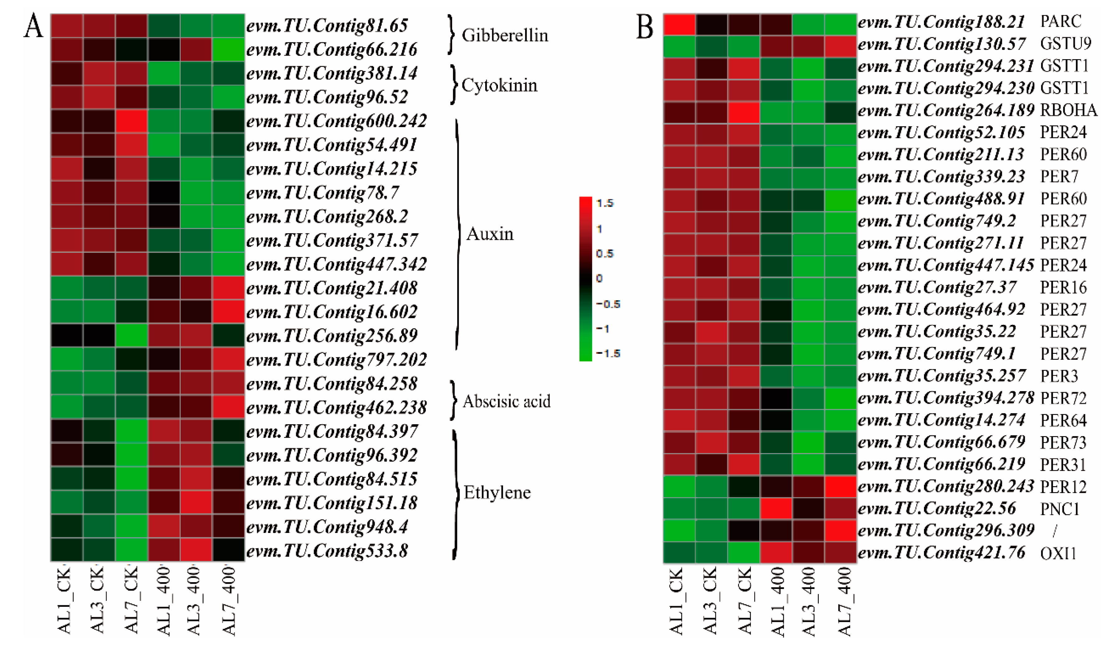 Ijms 21 09624 g011 Ijms 21 09624 g011