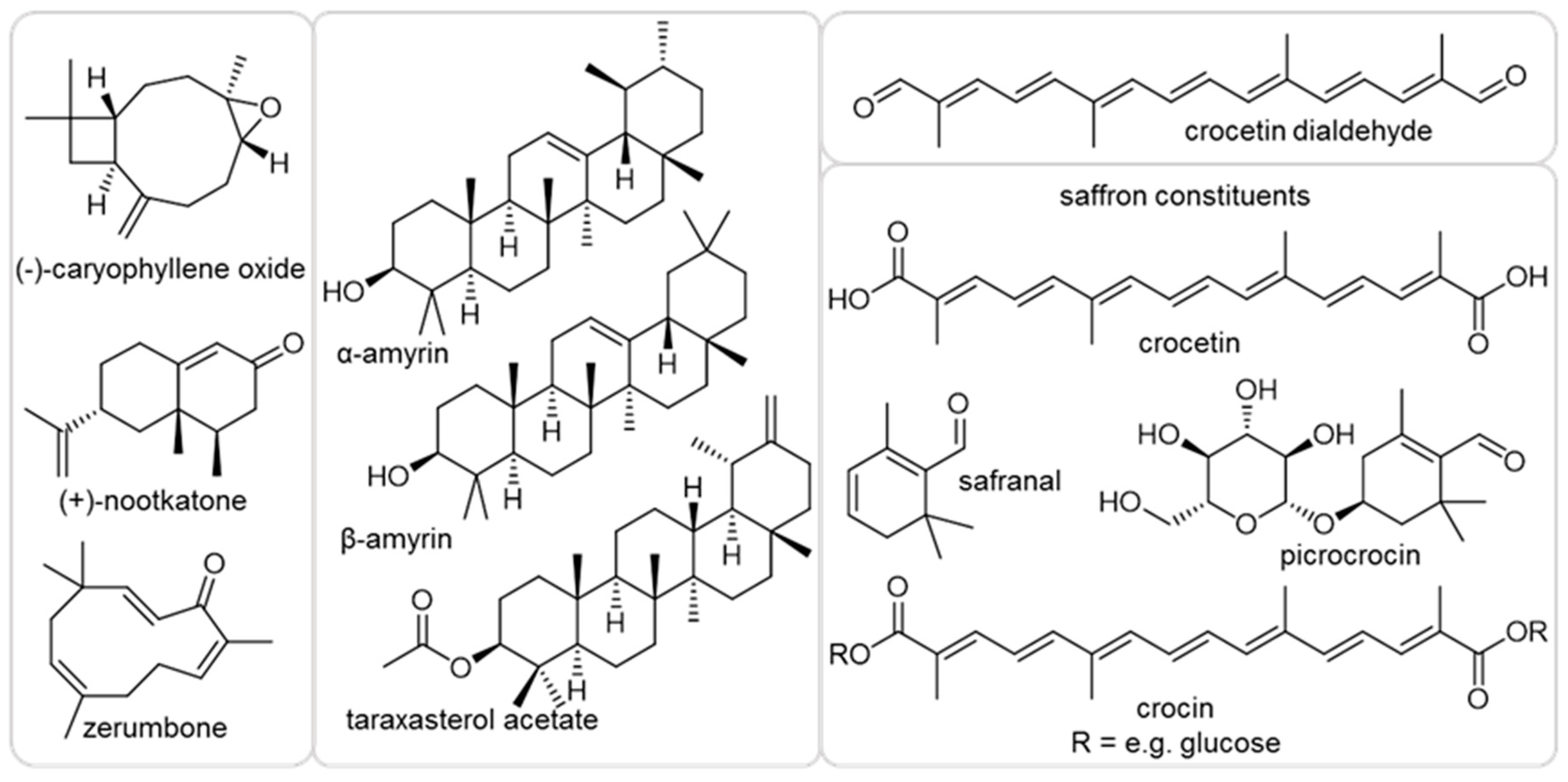 Ijms 21 09627 g001 Ijms 21 09627 g001