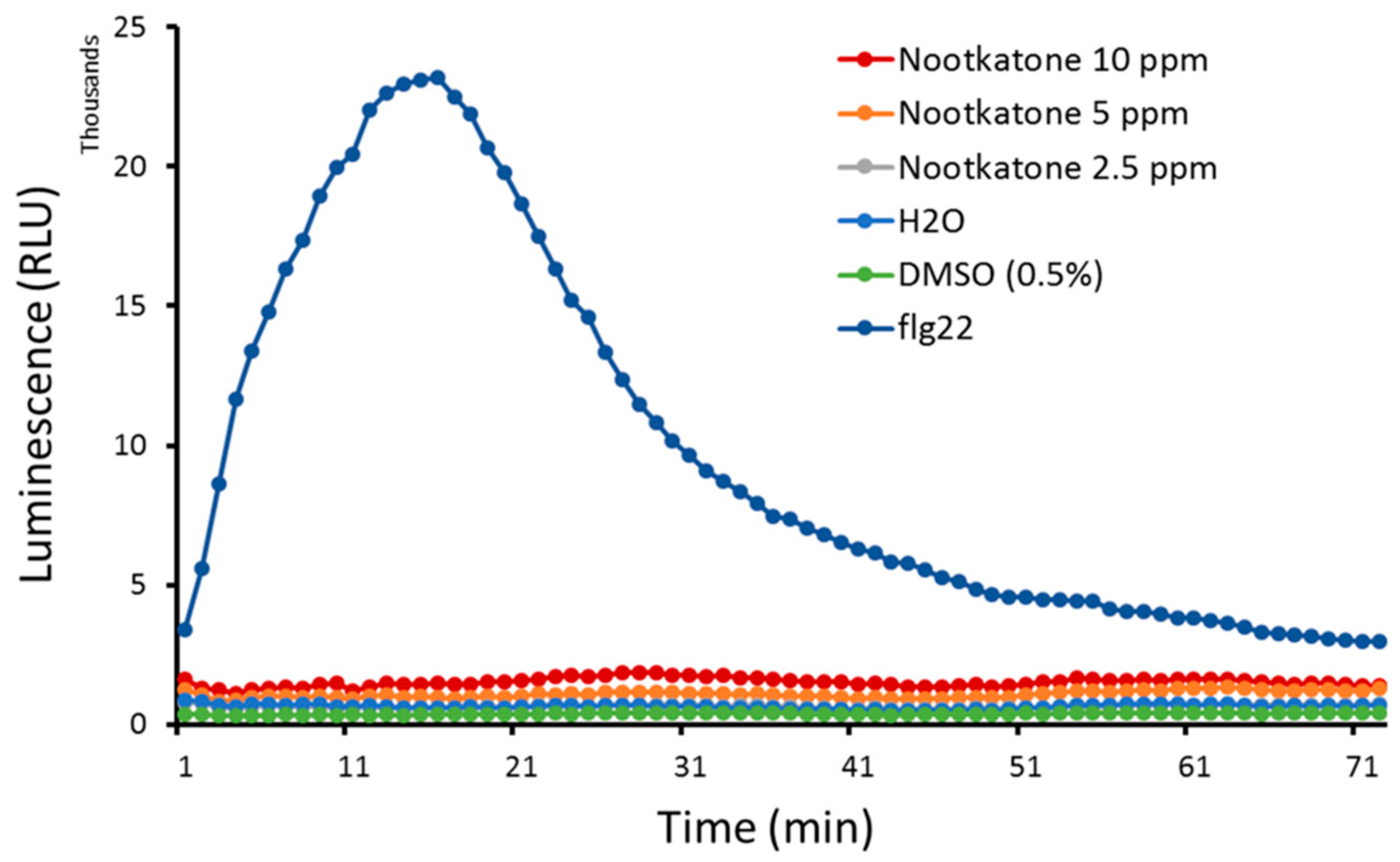 Ijms 21 09627 g005 Ijms 21 09627 g005