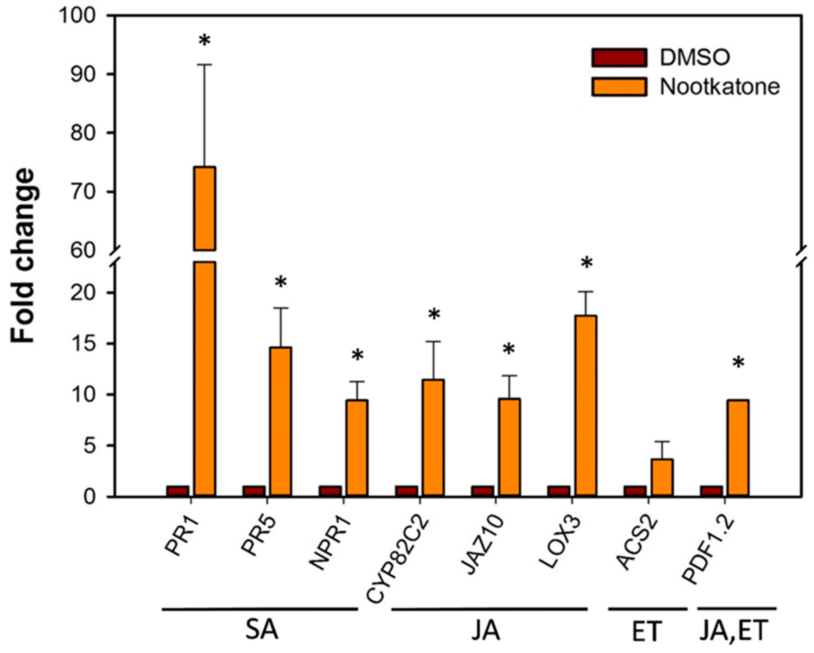 Ijms 21 09627 g006 Ijms 21 09627 g006