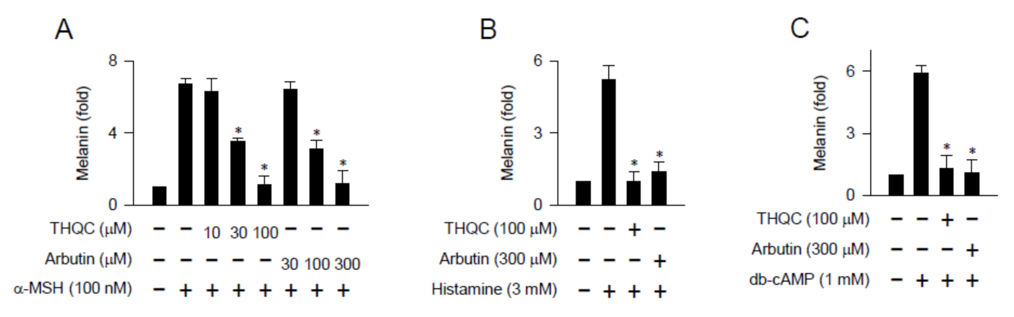 Ijms 21 09631 g002 Ijms 21 09631 g002