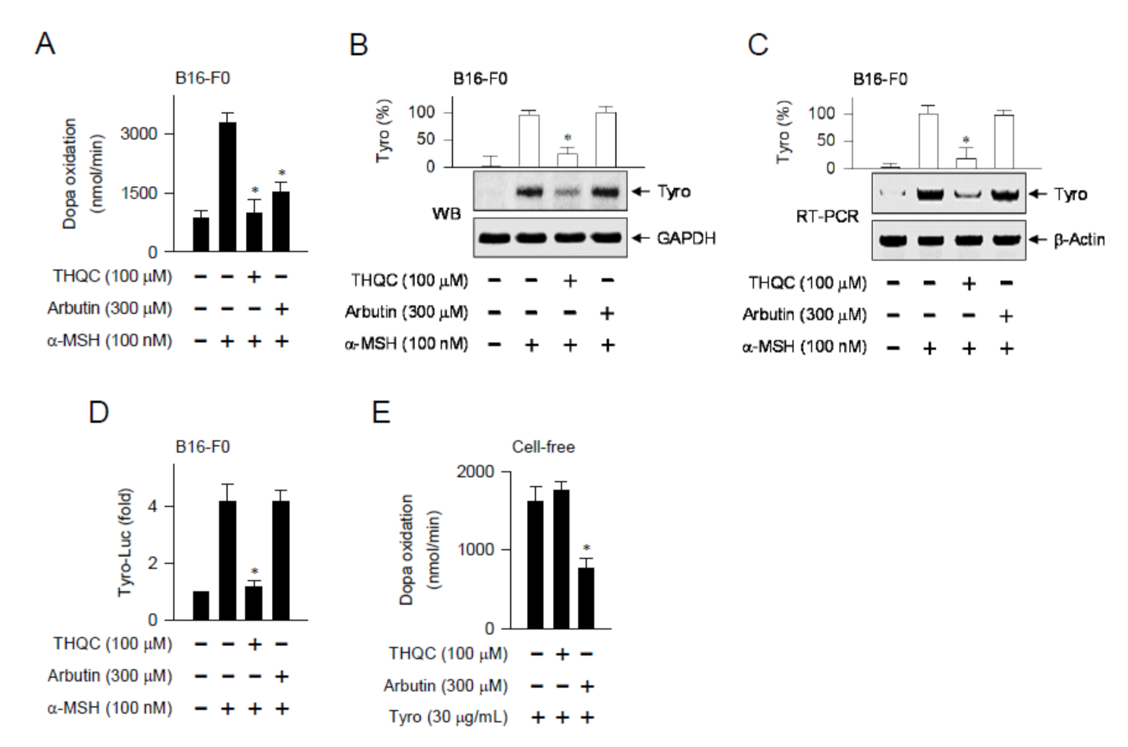 Ijms 21 09631 g003 Ijms 21 09631 g003