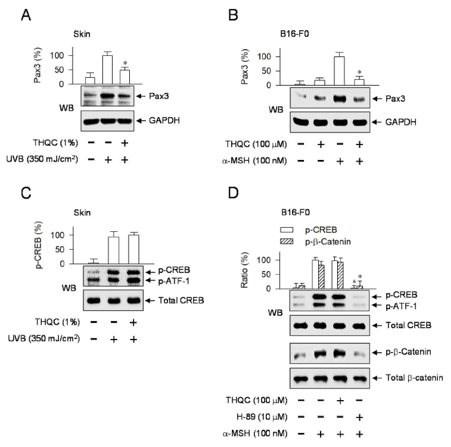 Ijms 21 09631 g005 Ijms 21 09631 g005