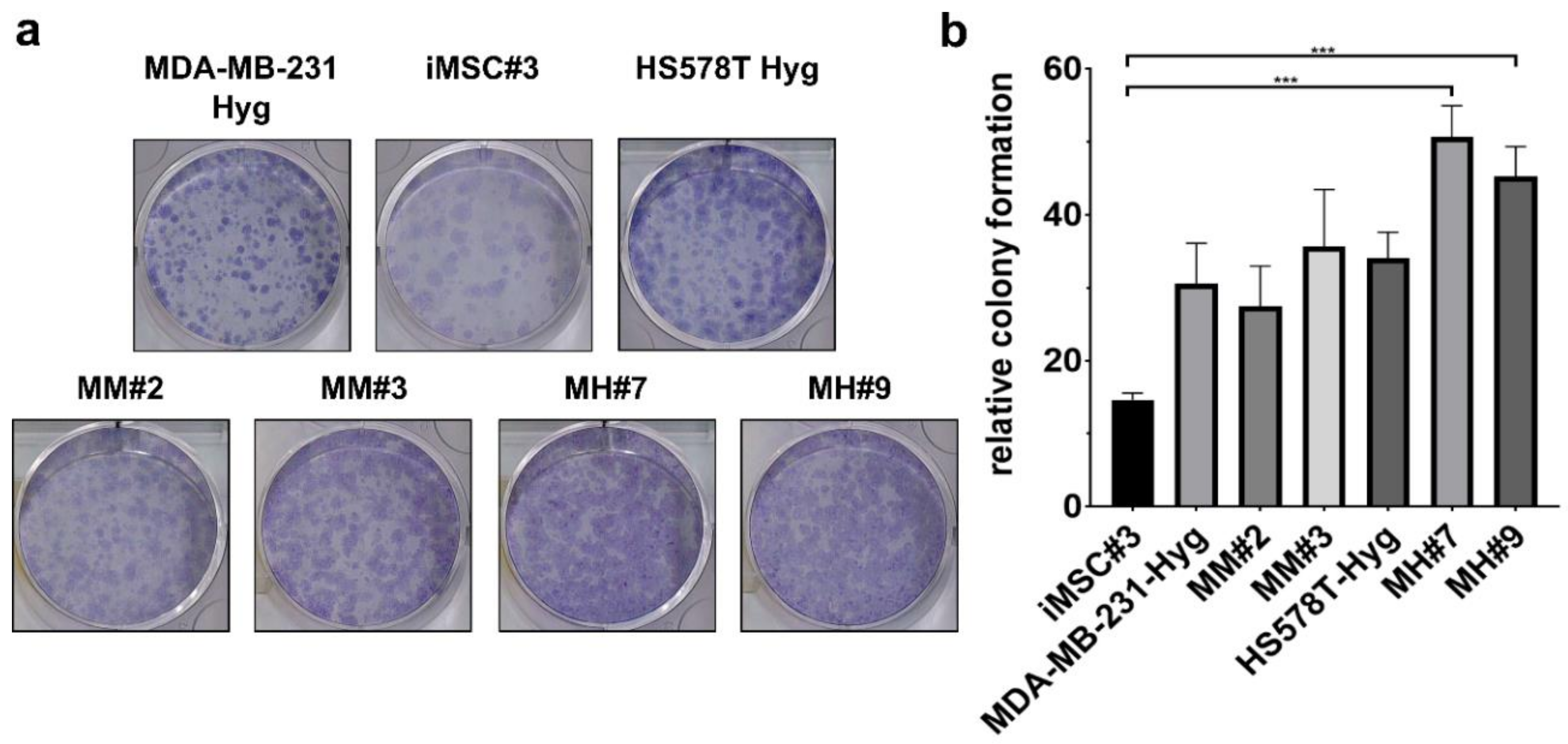 Ijms 21 09636 g002 Ijms 21 09636 g002