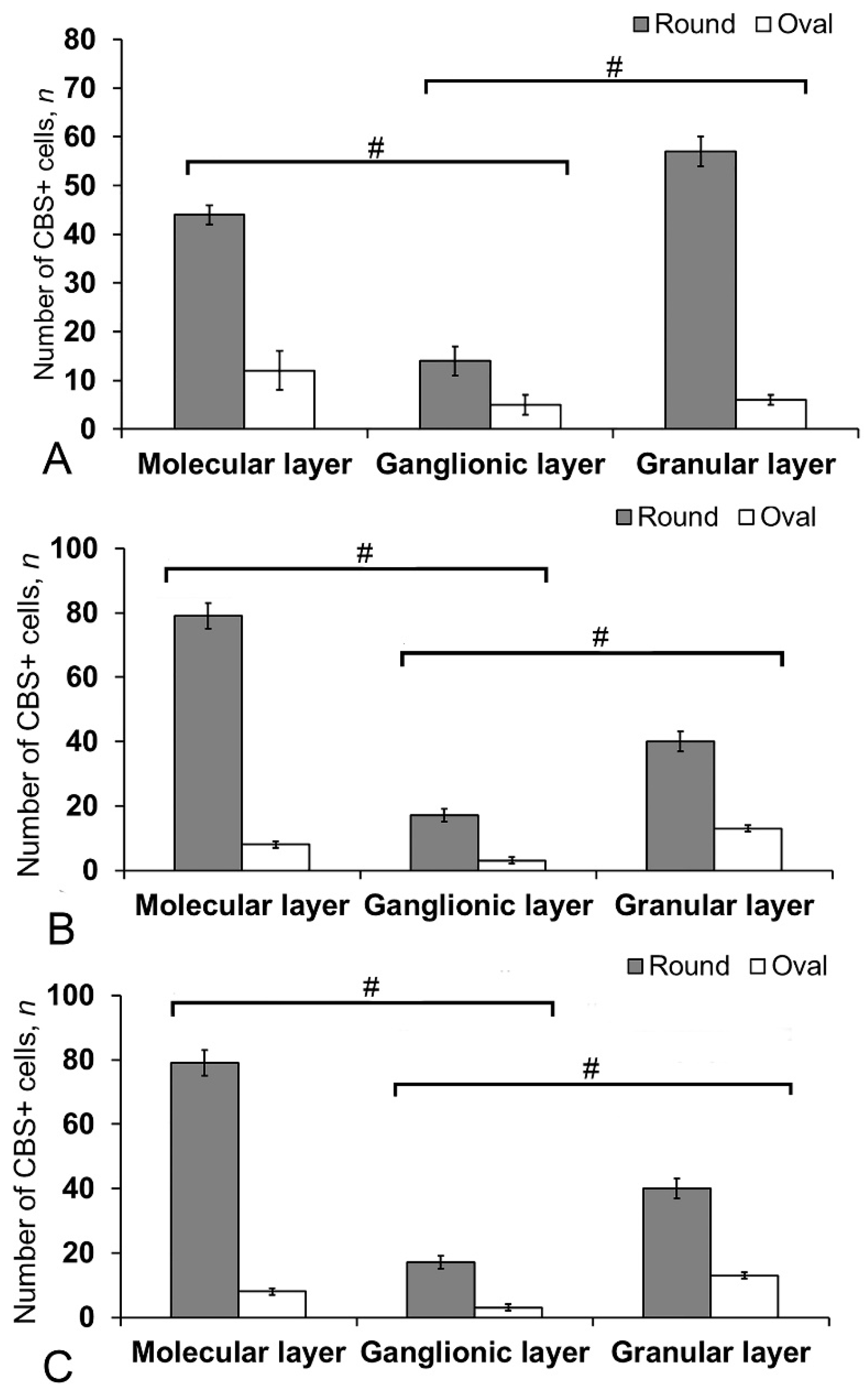 Ijms 21 09638 g012 Ijms 21 09638 g012