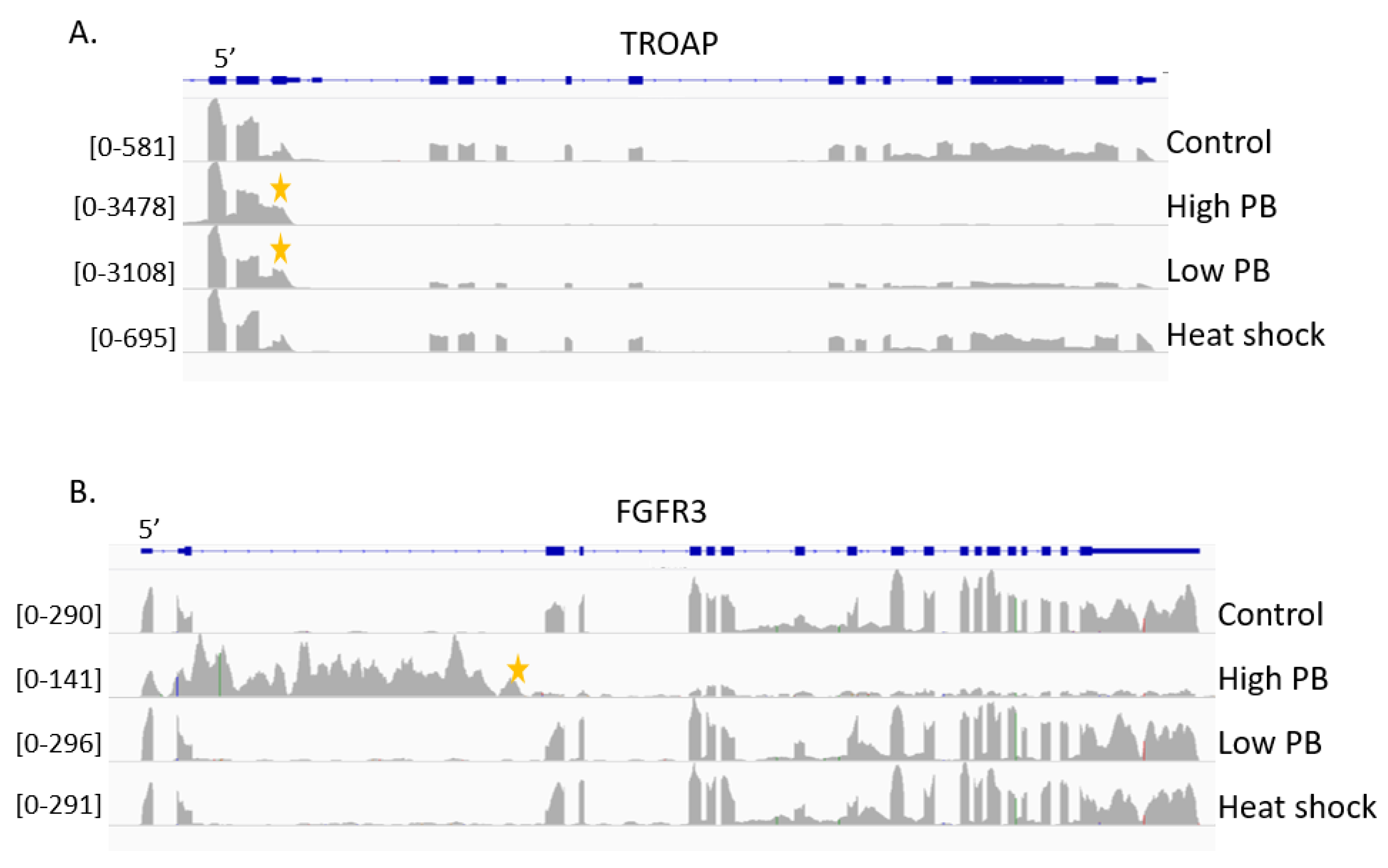 Ijms 21 09641 g003 Ijms 21 09641 g003