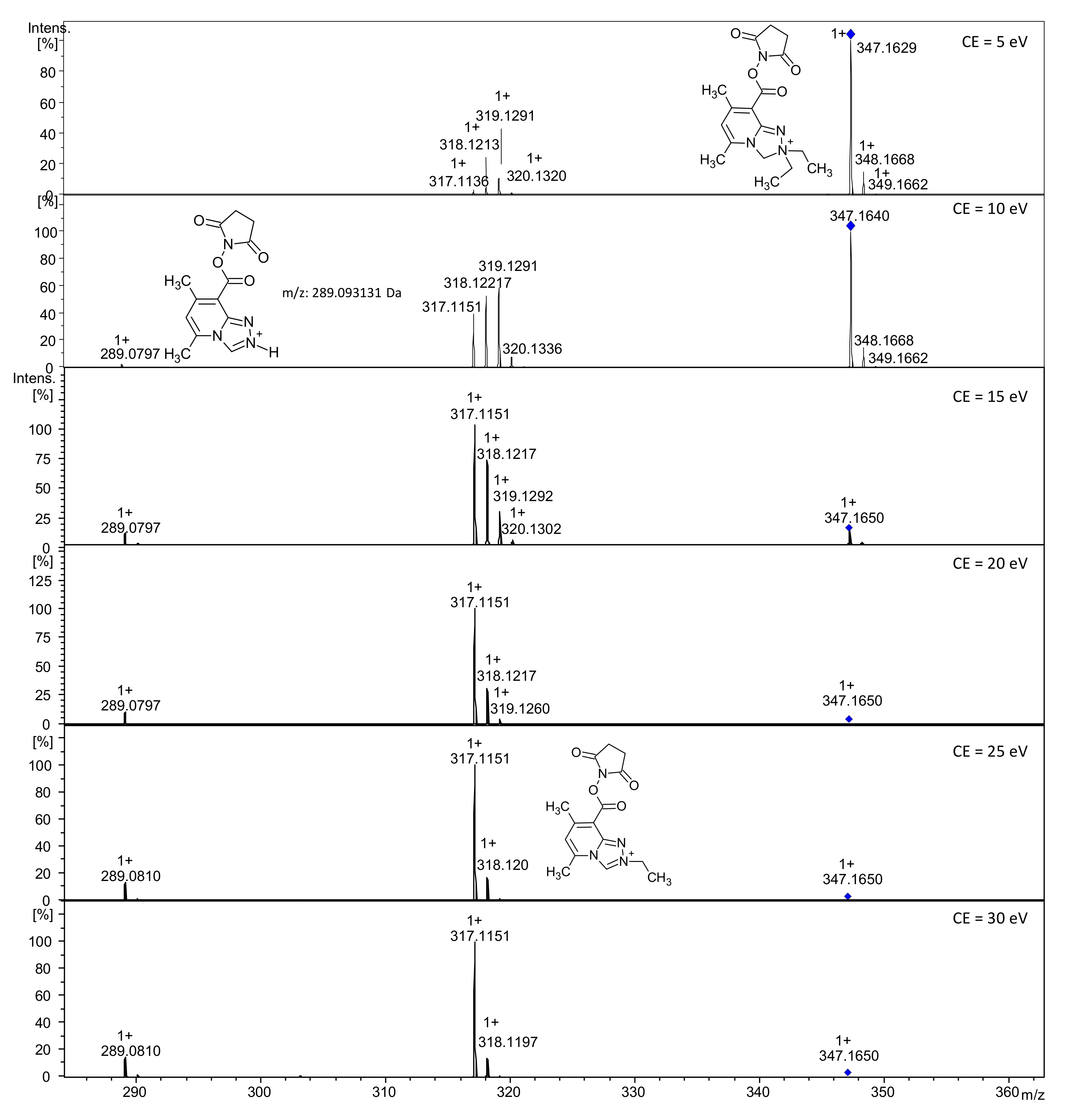 Ijms 21 09643 g004 Ijms 21 09643 g004
