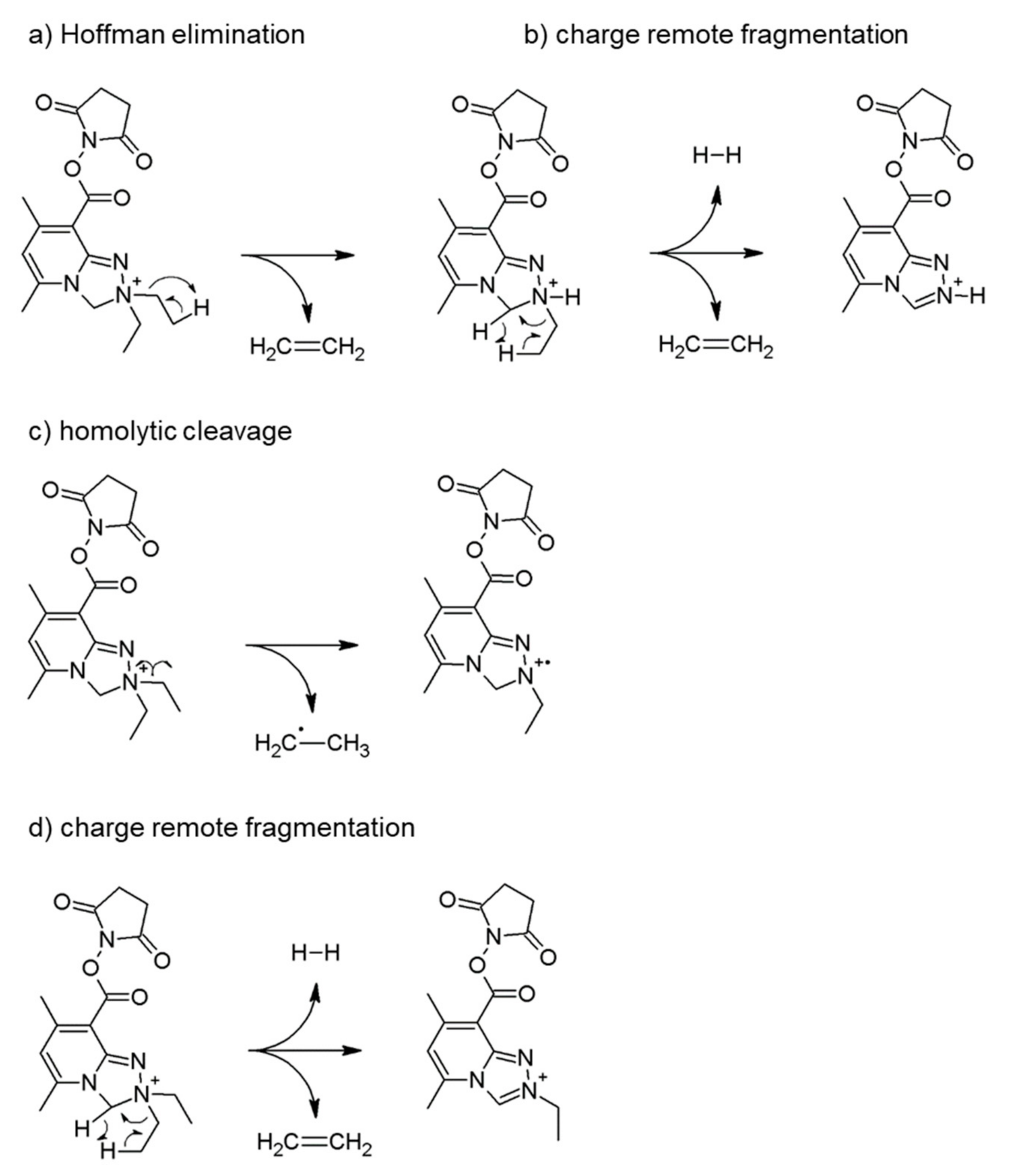 Ijms 21 09643 g005 Ijms 21 09643 g005