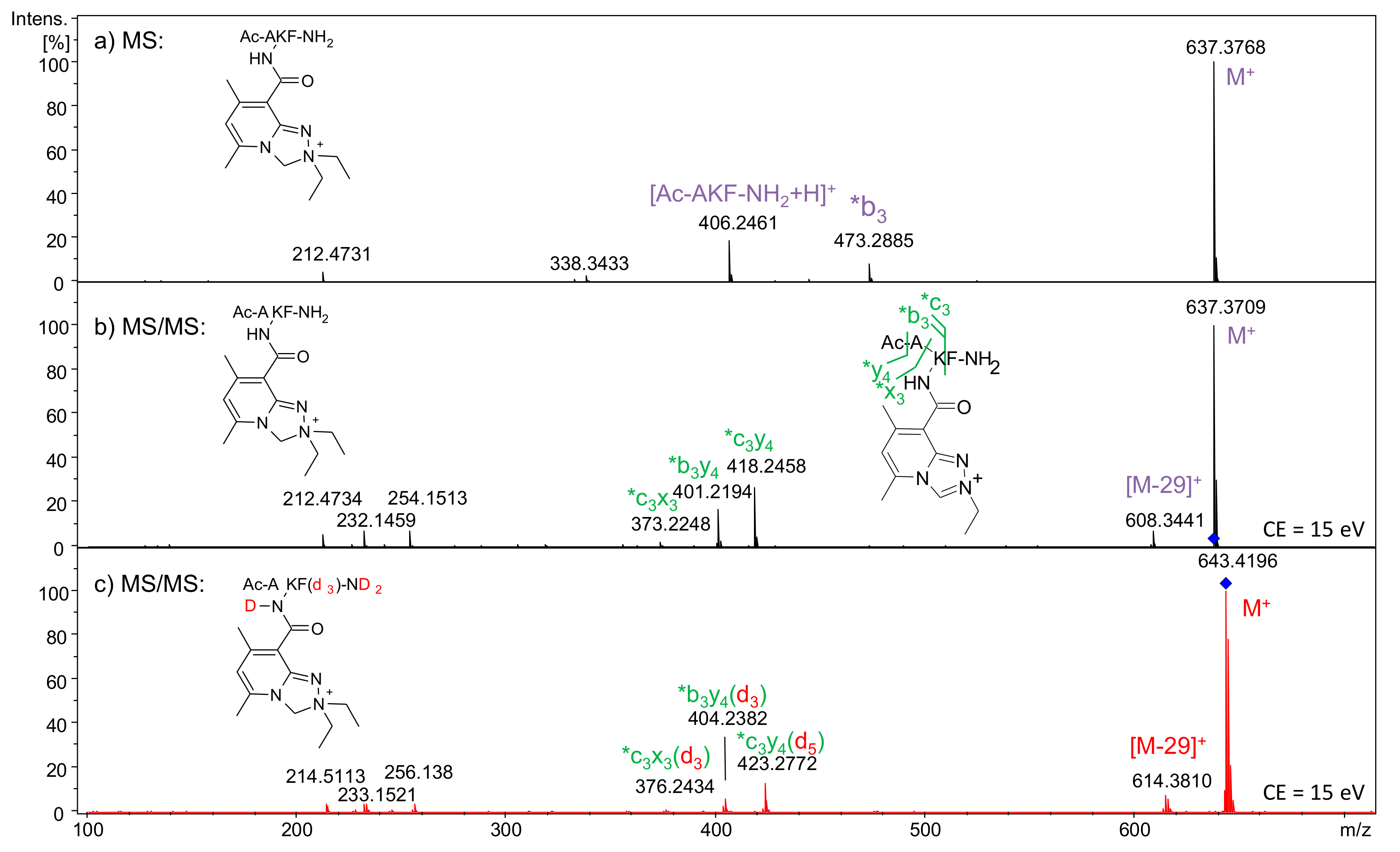 Ijms 21 09643 g007 Ijms 21 09643 g007