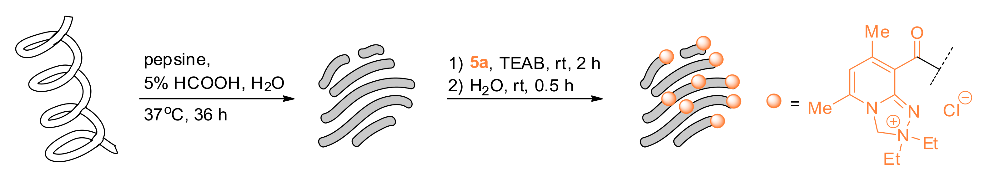 Ijms 21 09643 sch004 Ijms 21 09643 sch004