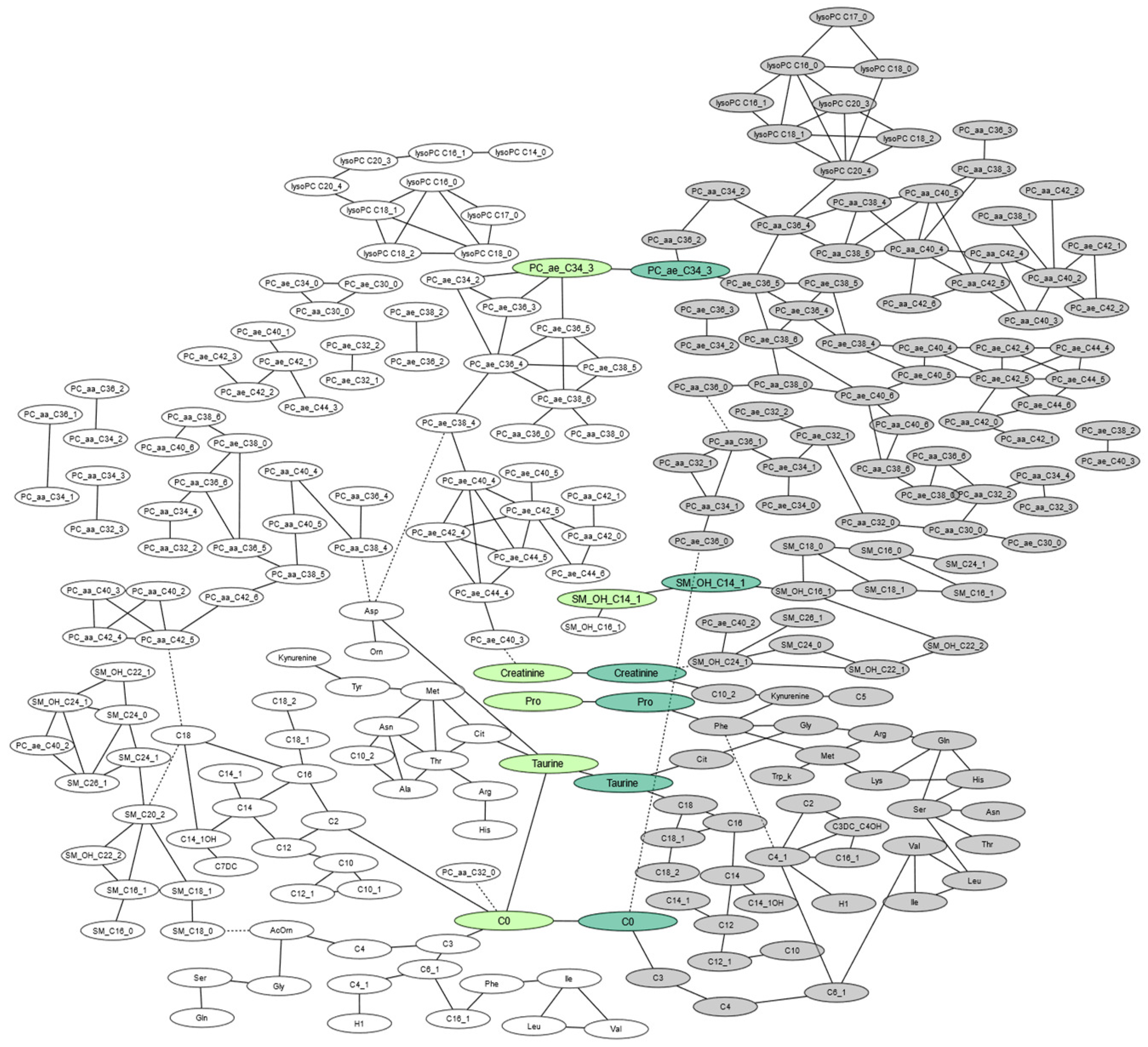 Ijms 21 09647 g002 Ijms 21 09647 g002