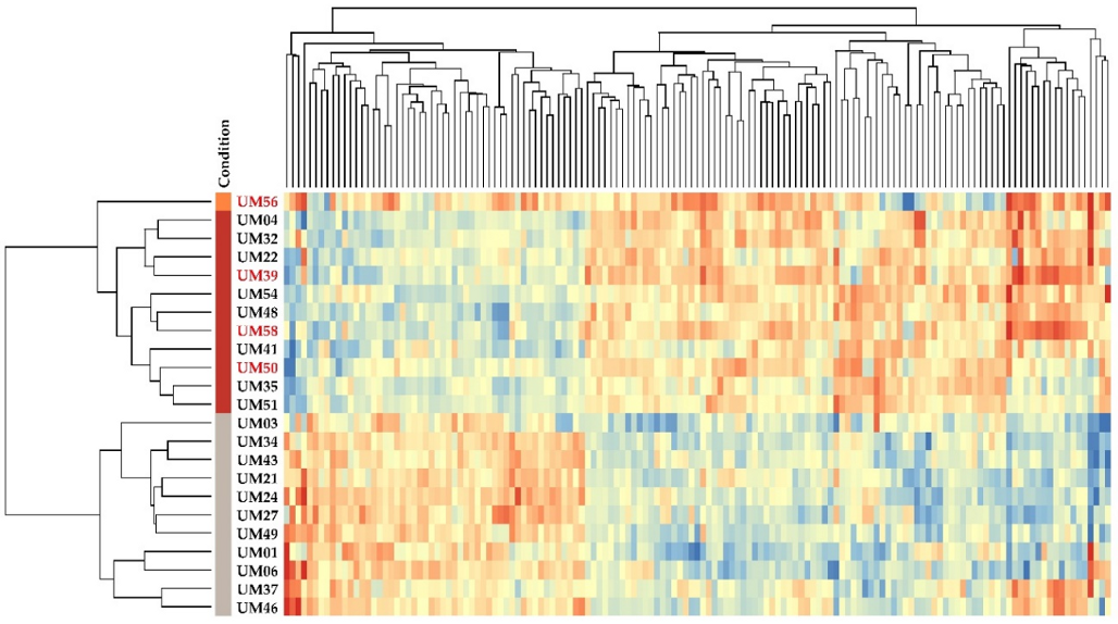 Ijms 21 09651 g006 Ijms 21 09651 g006