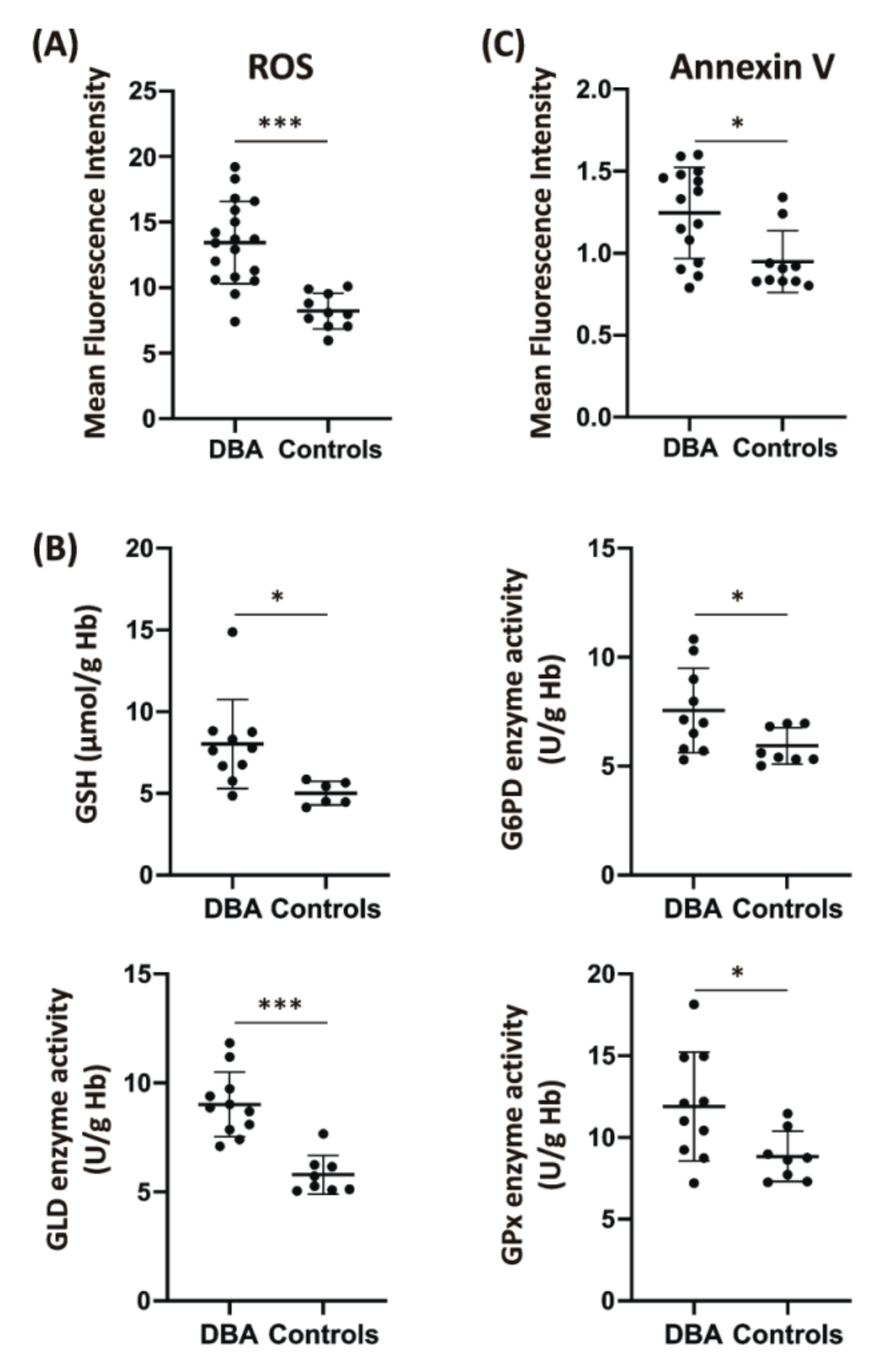 Ijms 21 09652 g001 Ijms 21 09652 g001