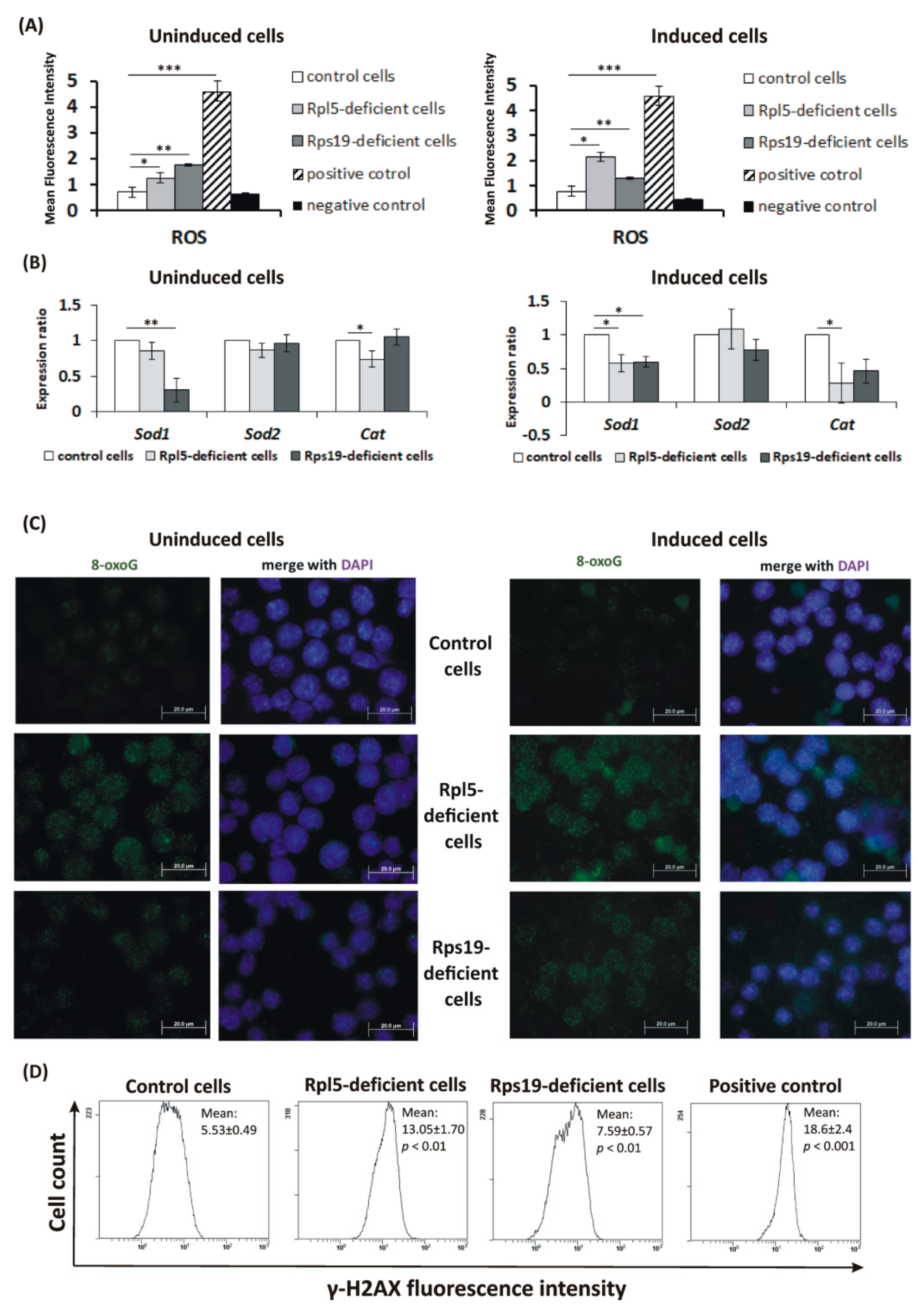 Ijms 21 09652 g002 Ijms 21 09652 g002