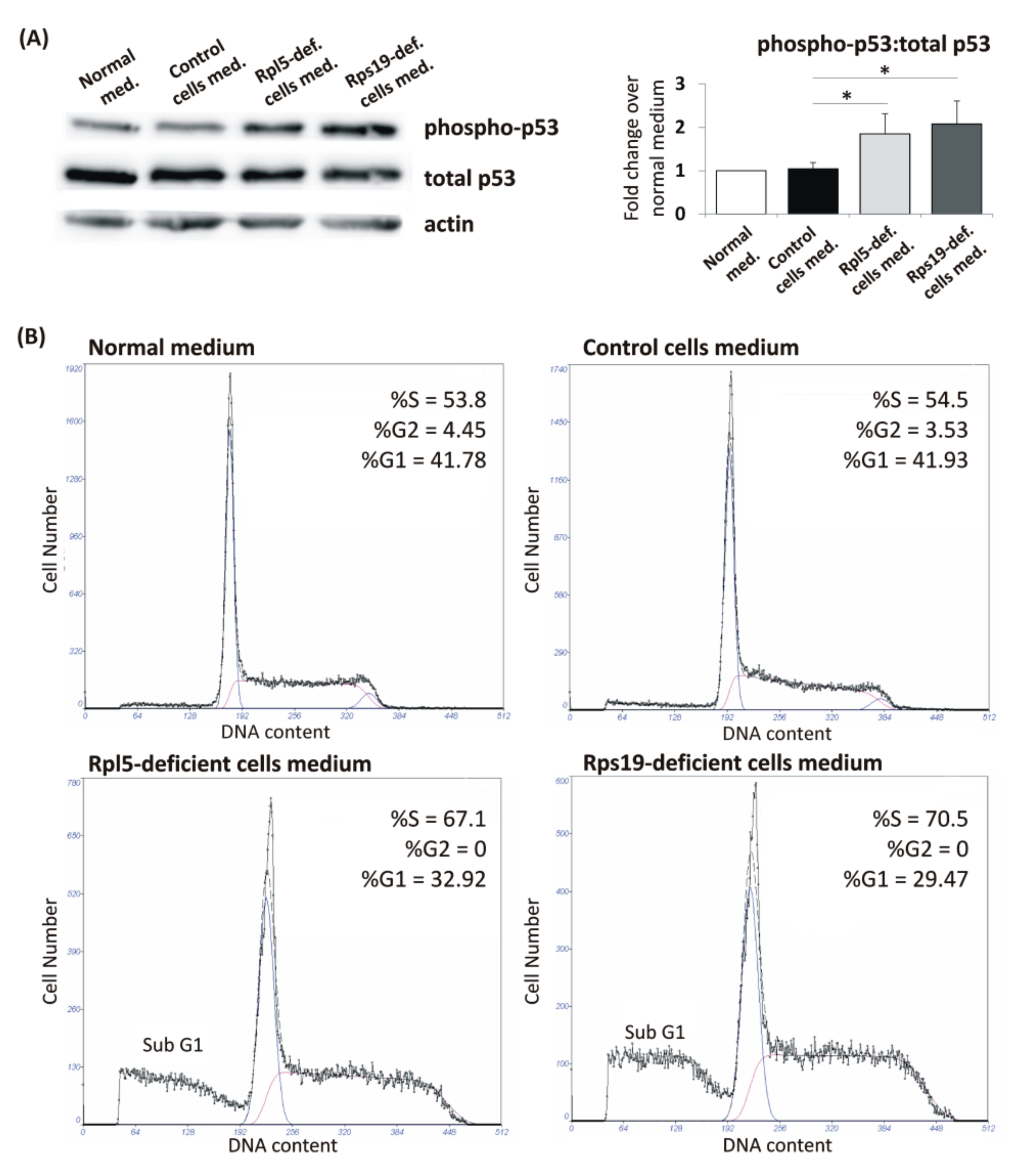 Ijms 21 09652 g005 Ijms 21 09652 g005