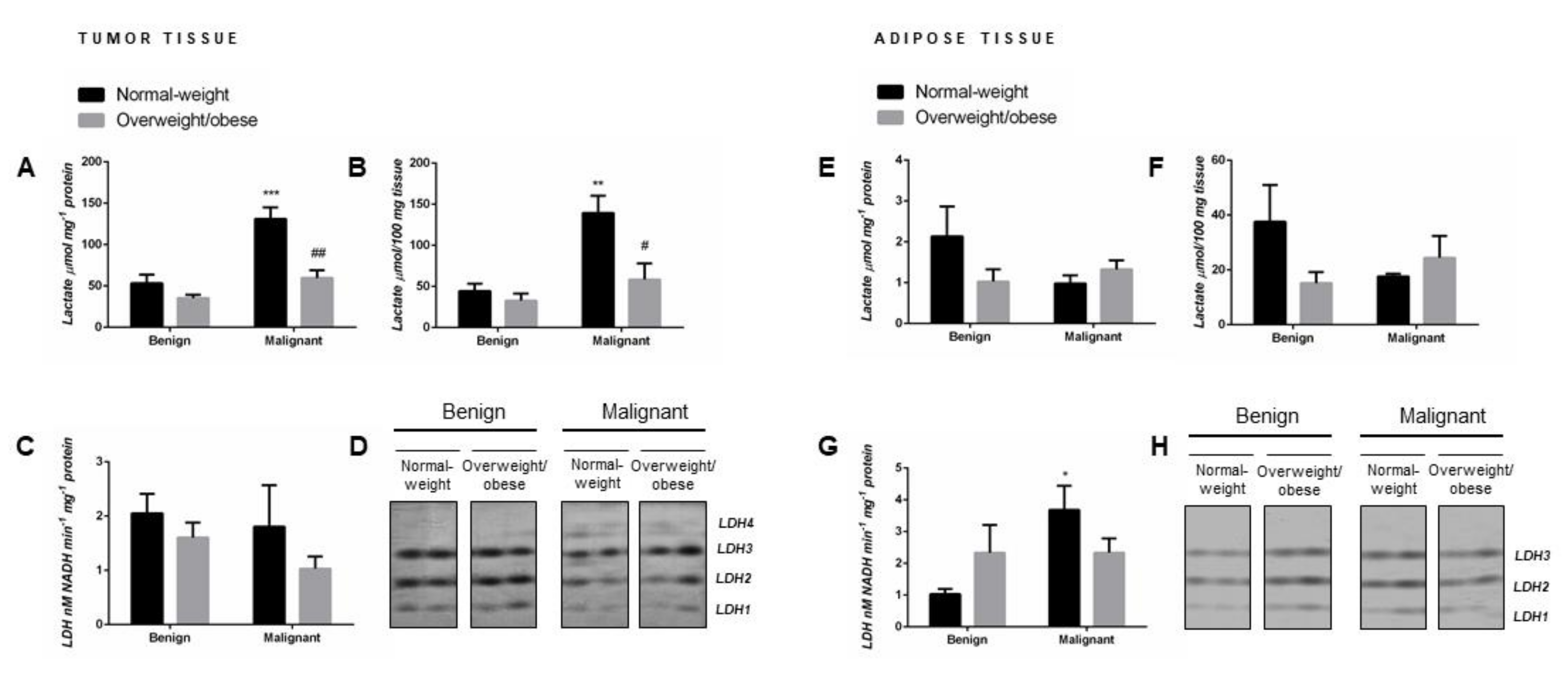 Ijms 21 09676 g001 Ijms 21 09676 g001