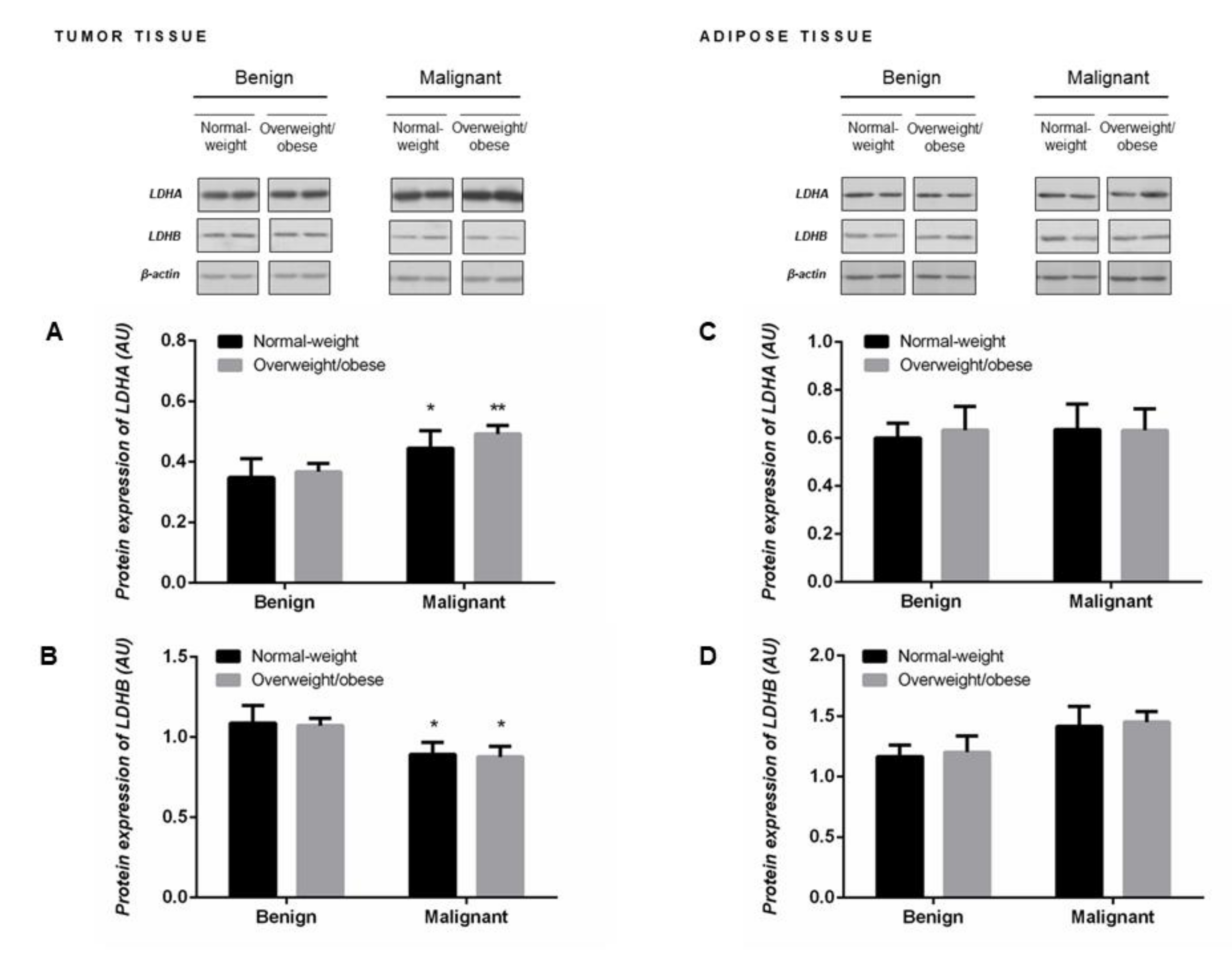 Ijms 21 09676 g002 Ijms 21 09676 g002