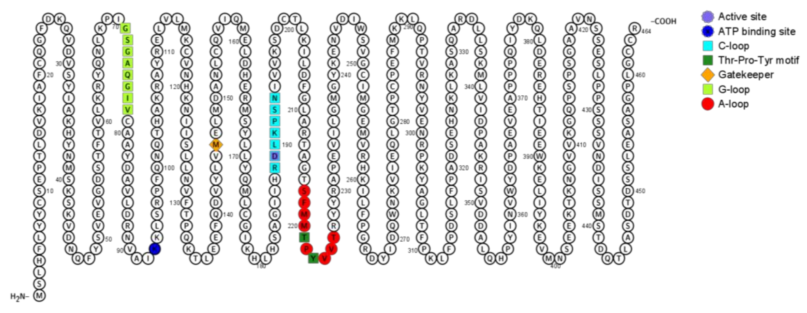 Ijms 21 09677 g003 Ijms 21 09677 g003