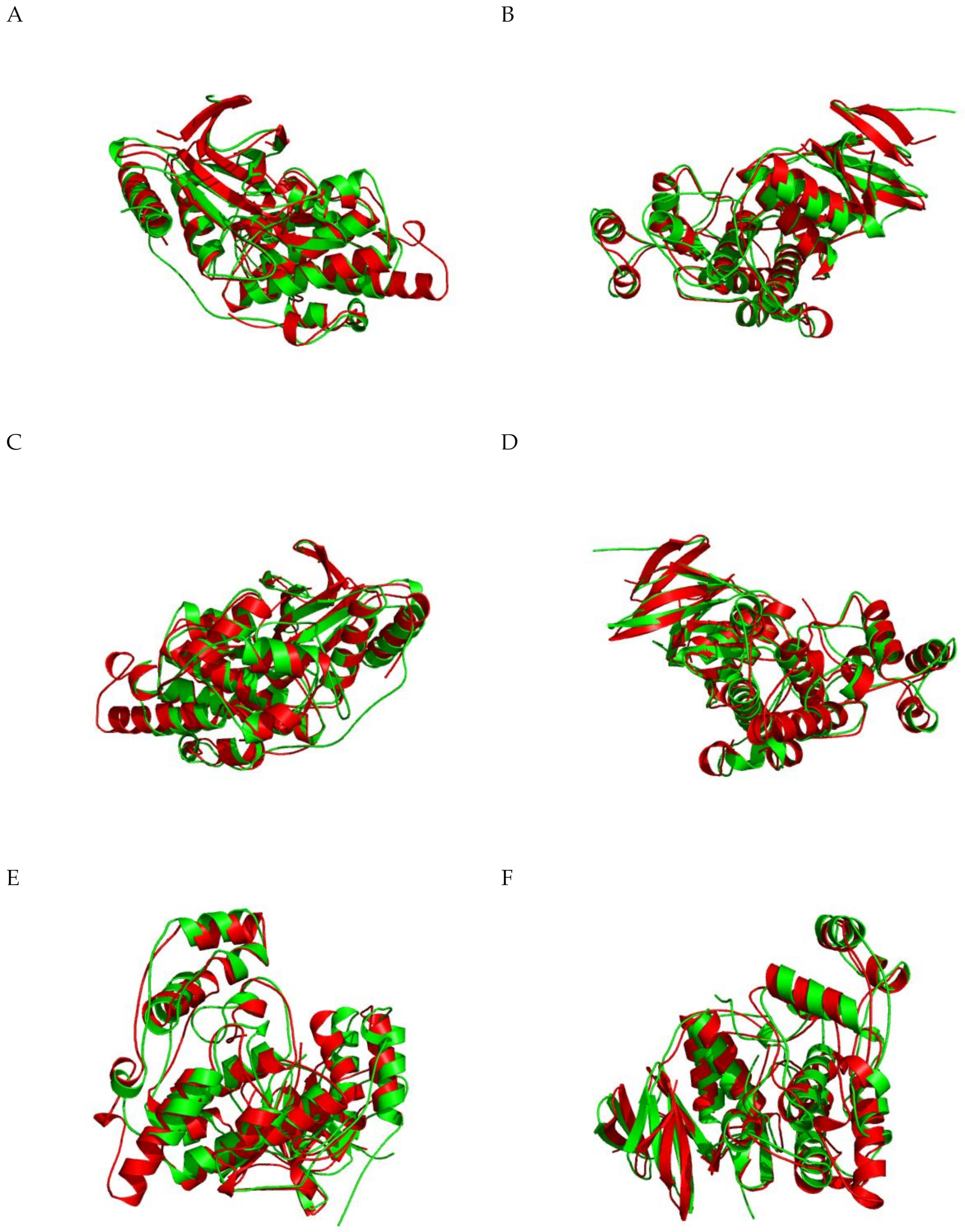 Ijms 21 09677 g004a Ijms 21 09677 g004a