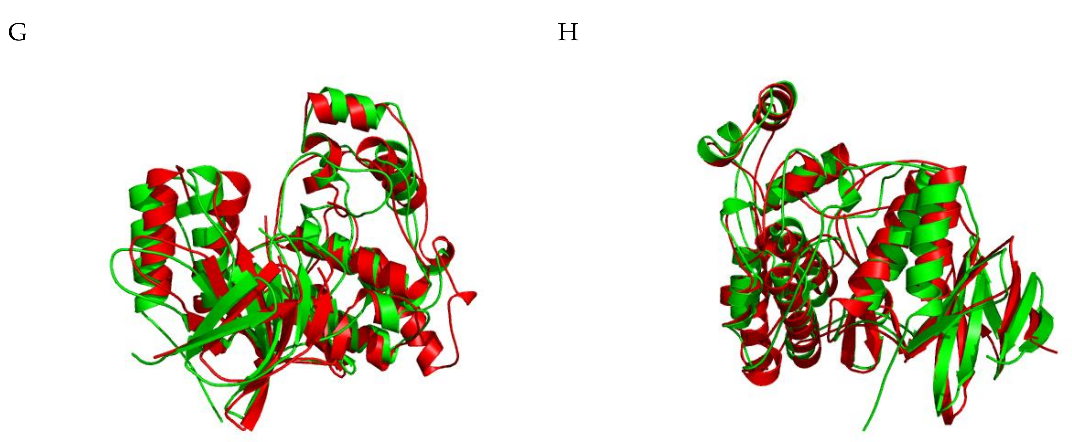 Ijms 21 09677 g004b Ijms 21 09677 g004b