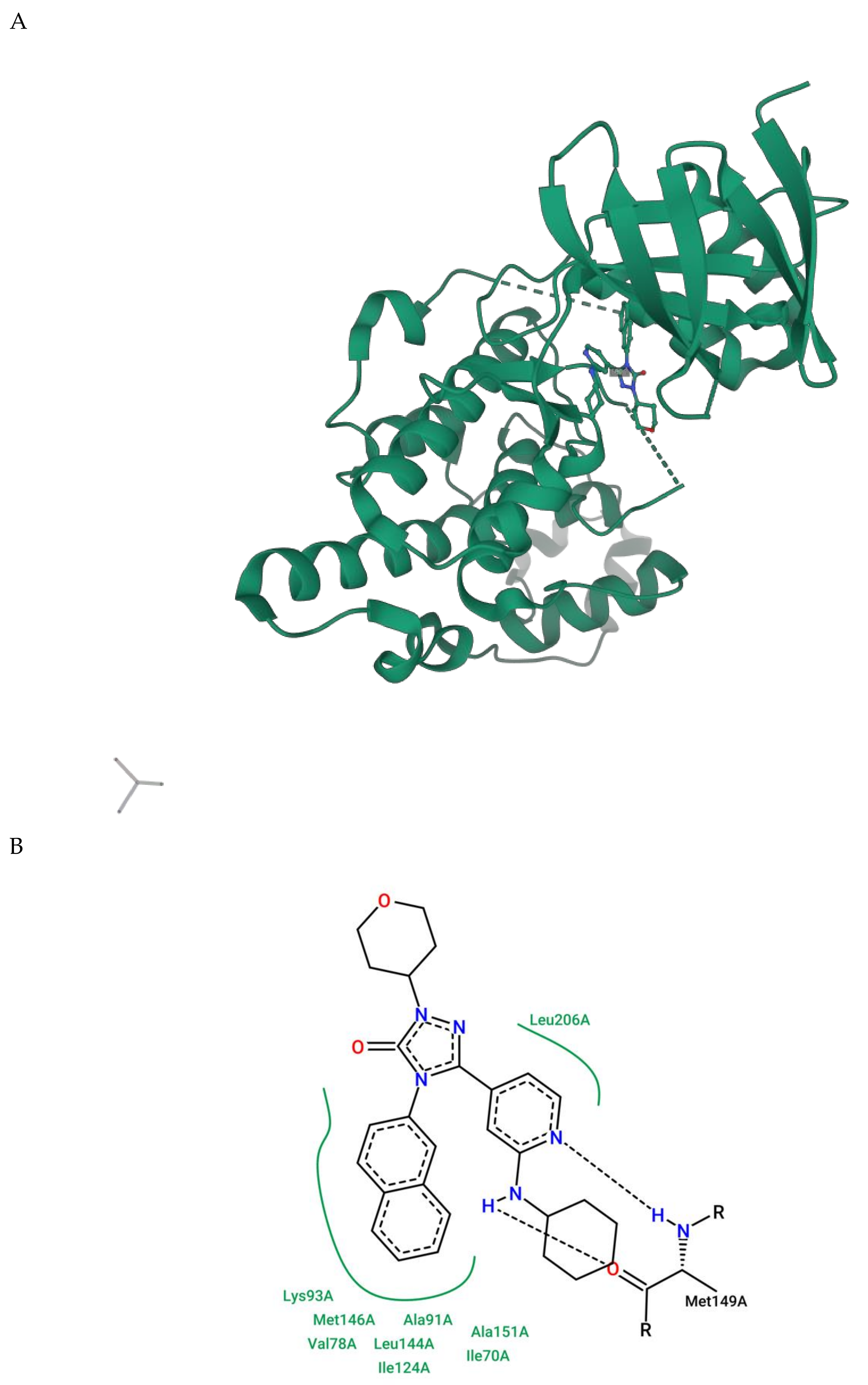 Ijms 21 09677 g005 Ijms 21 09677 g005