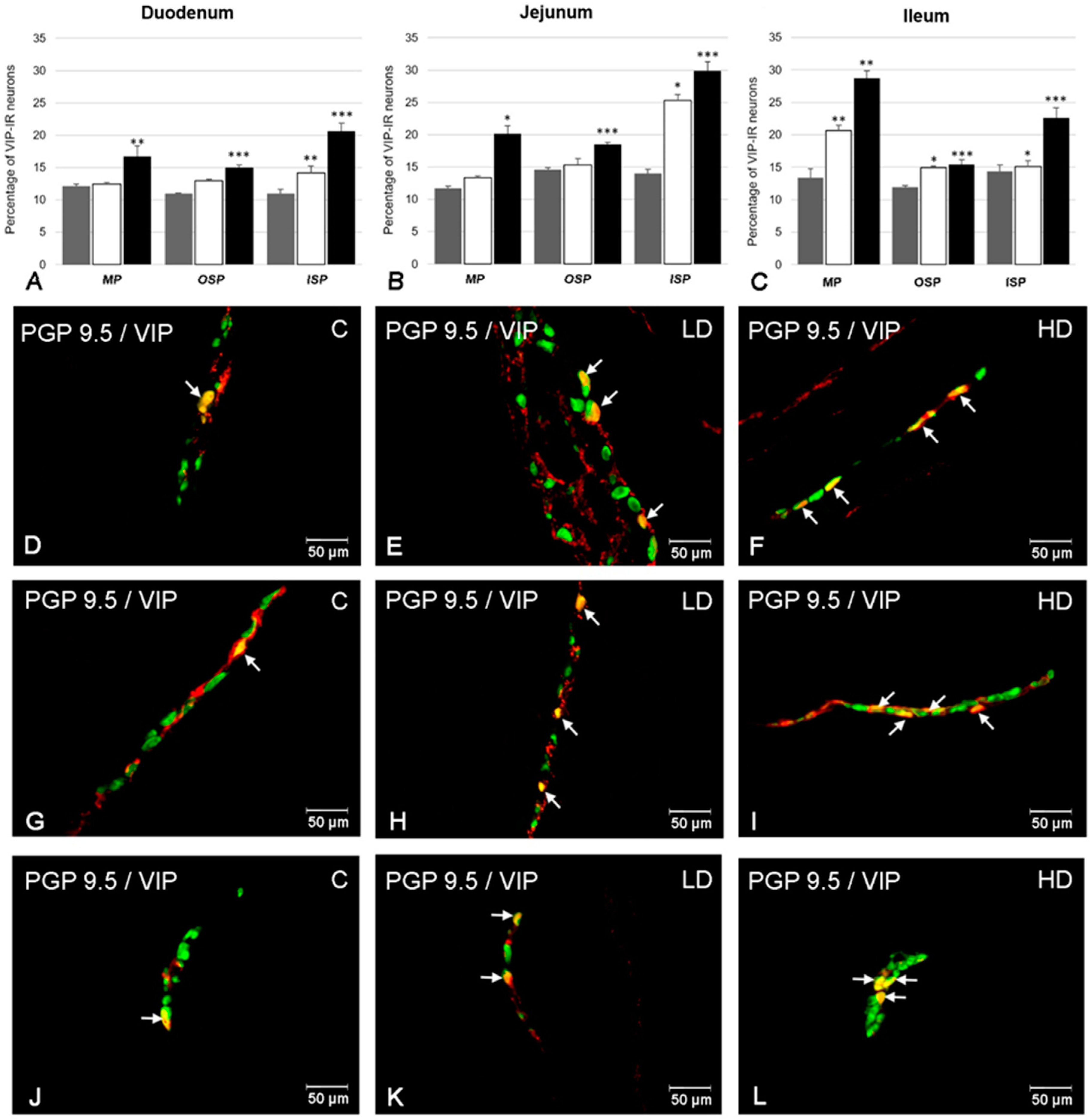 Ijms 21 09691 g001 Ijms 21 09691 g001