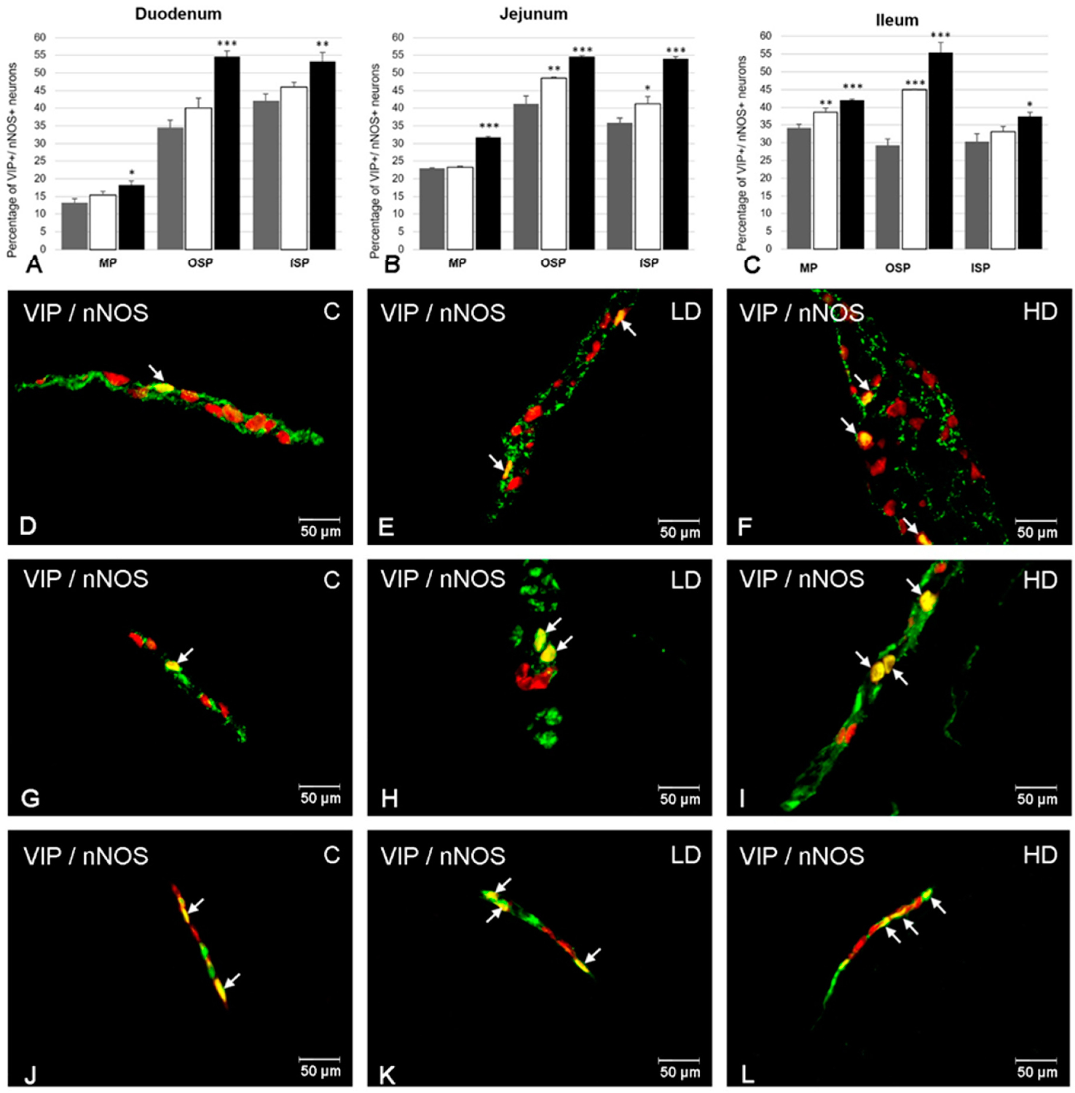 Ijms 21 09691 g002 Ijms 21 09691 g002