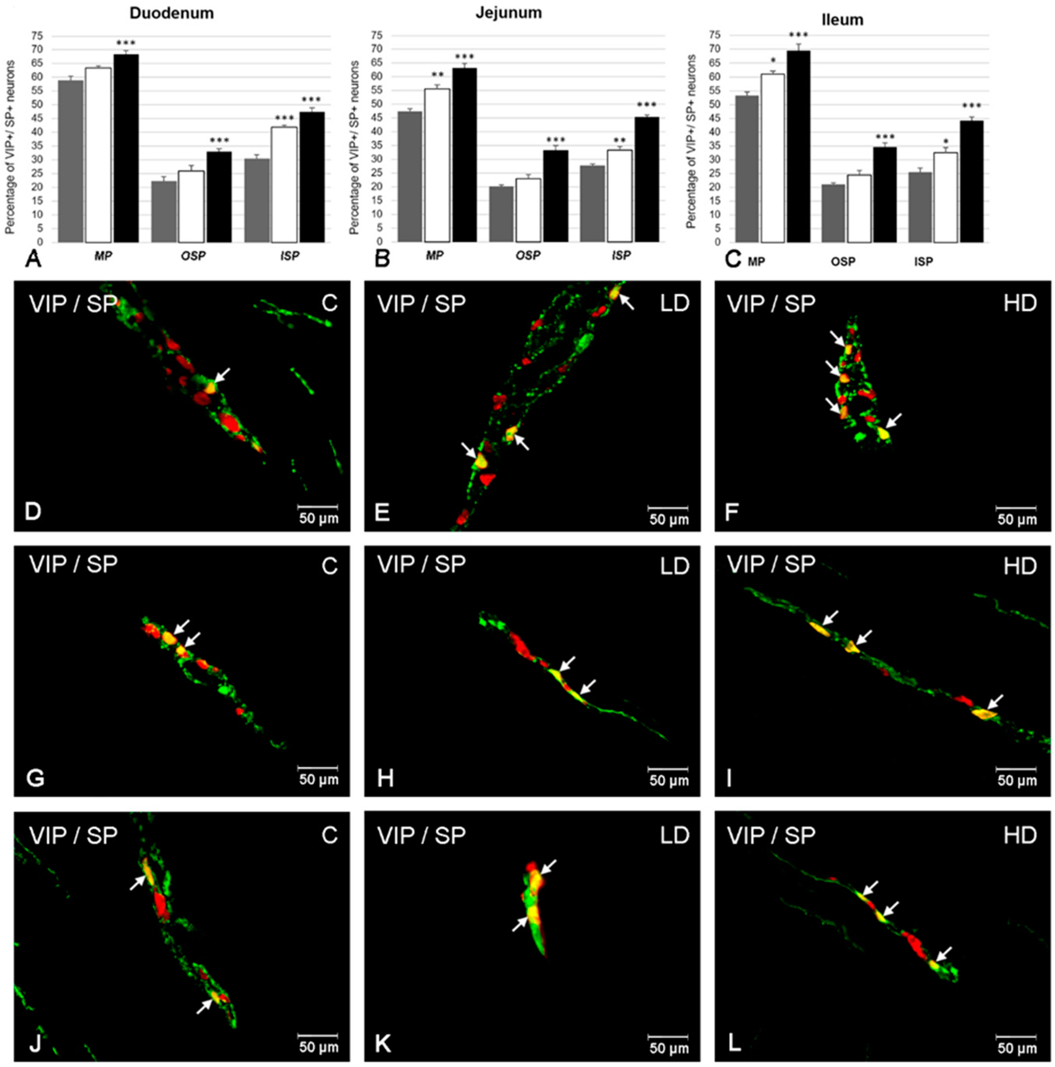 Ijms 21 09691 g003 Ijms 21 09691 g003