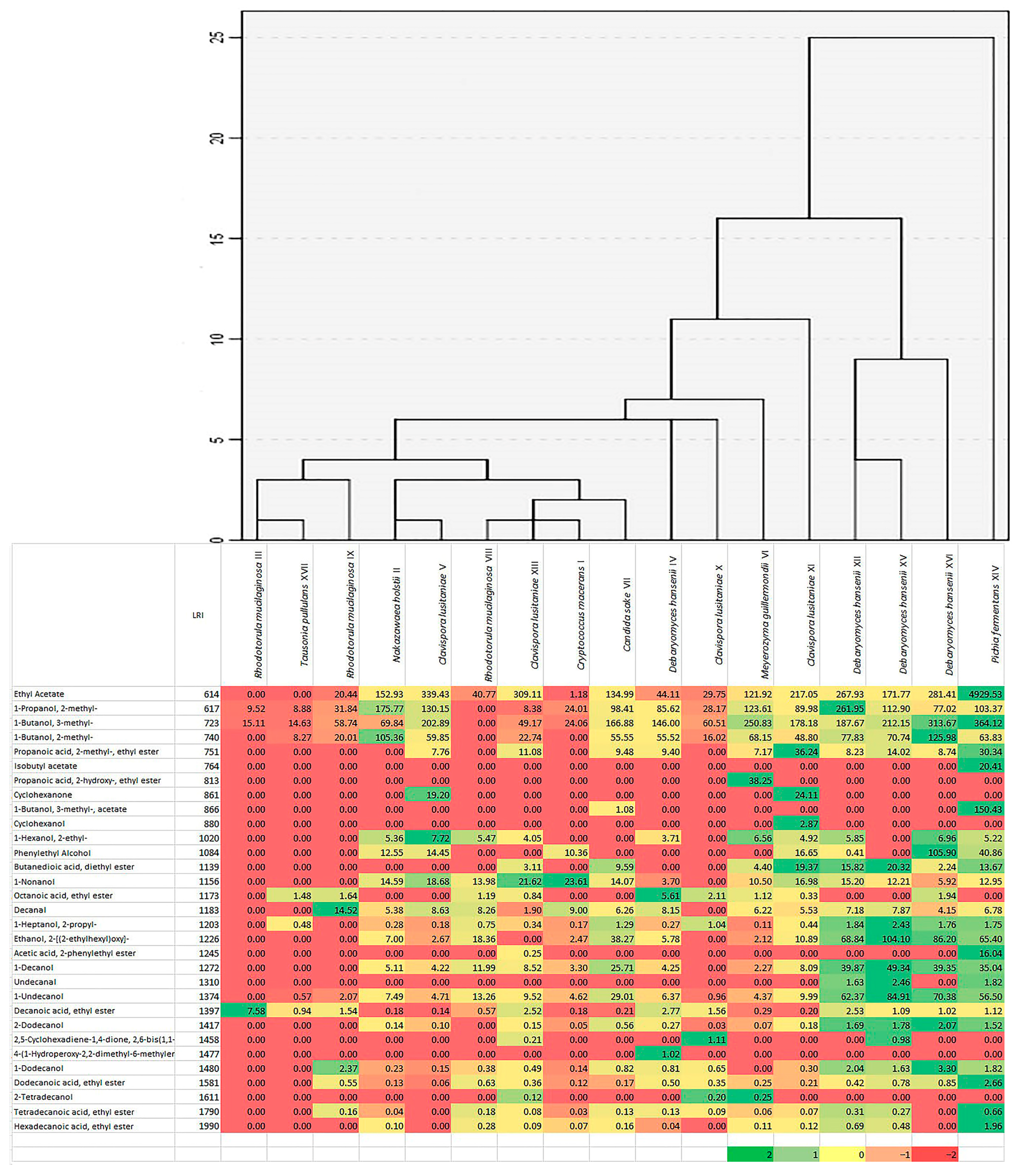 Ijms 21 09699 g004 Ijms 21 09699 g004