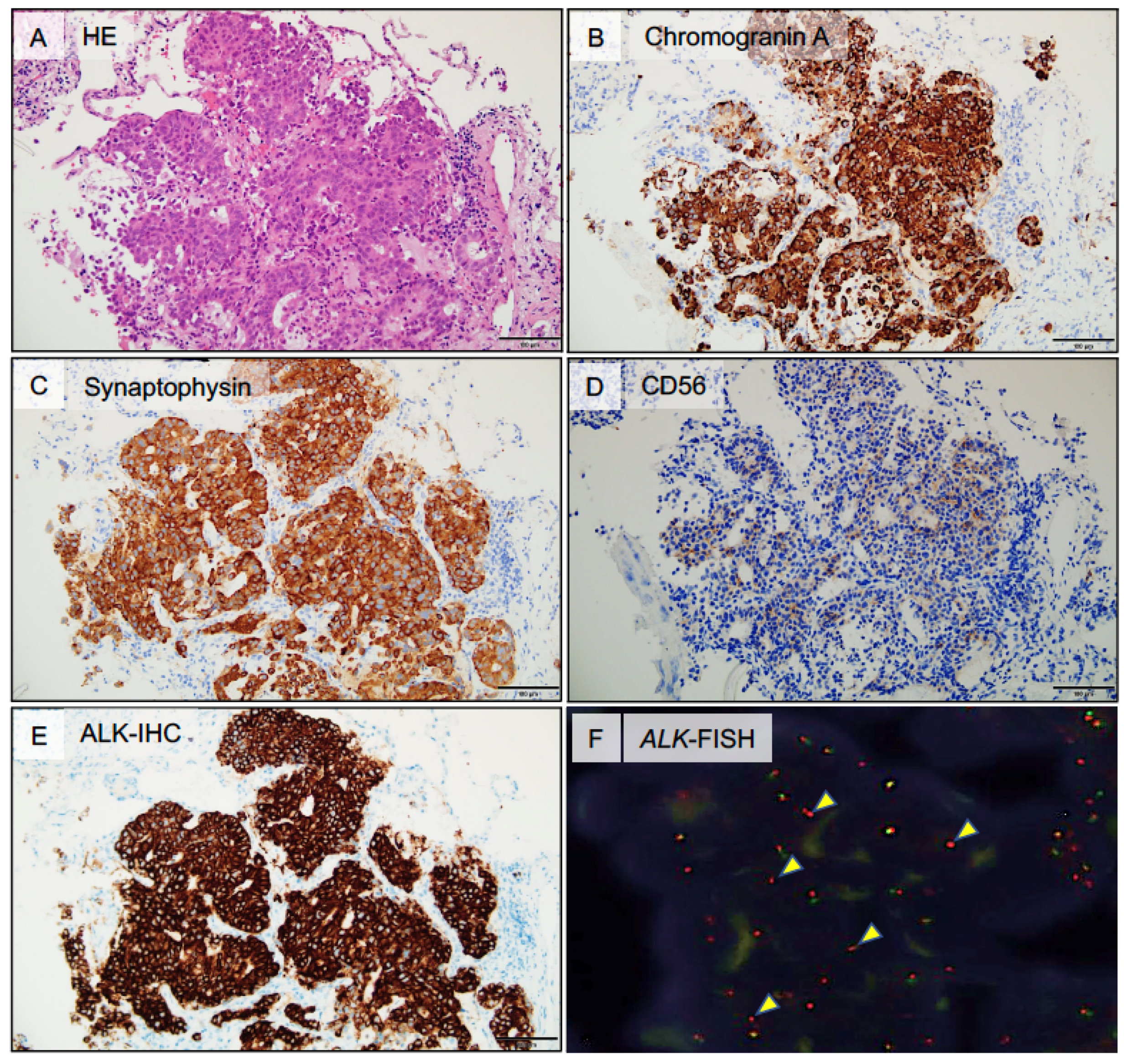 Ijms 21 09705 g002 Ijms 21 09705 g002