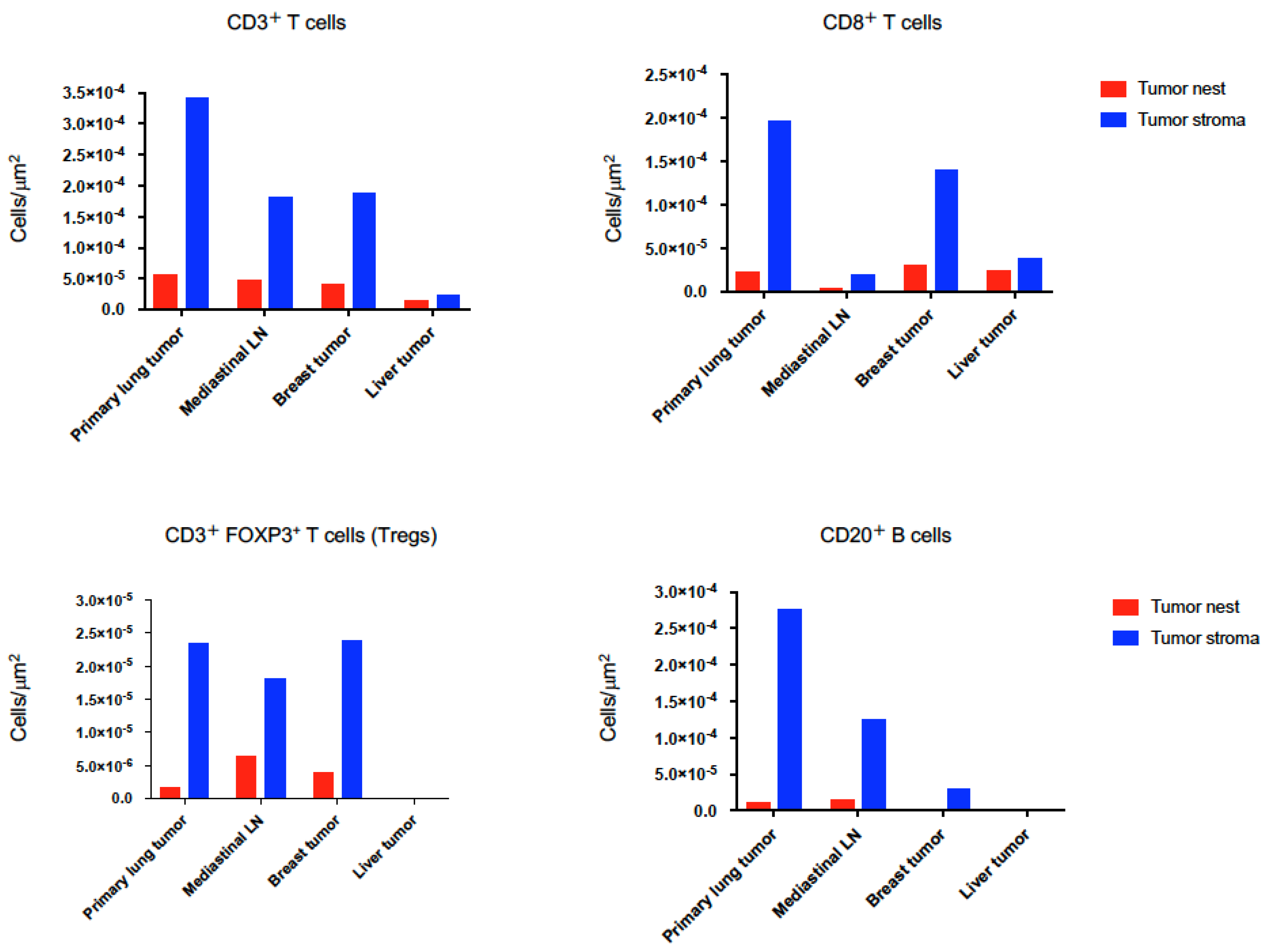 Ijms 21 09705 g006 Ijms 21 09705 g006