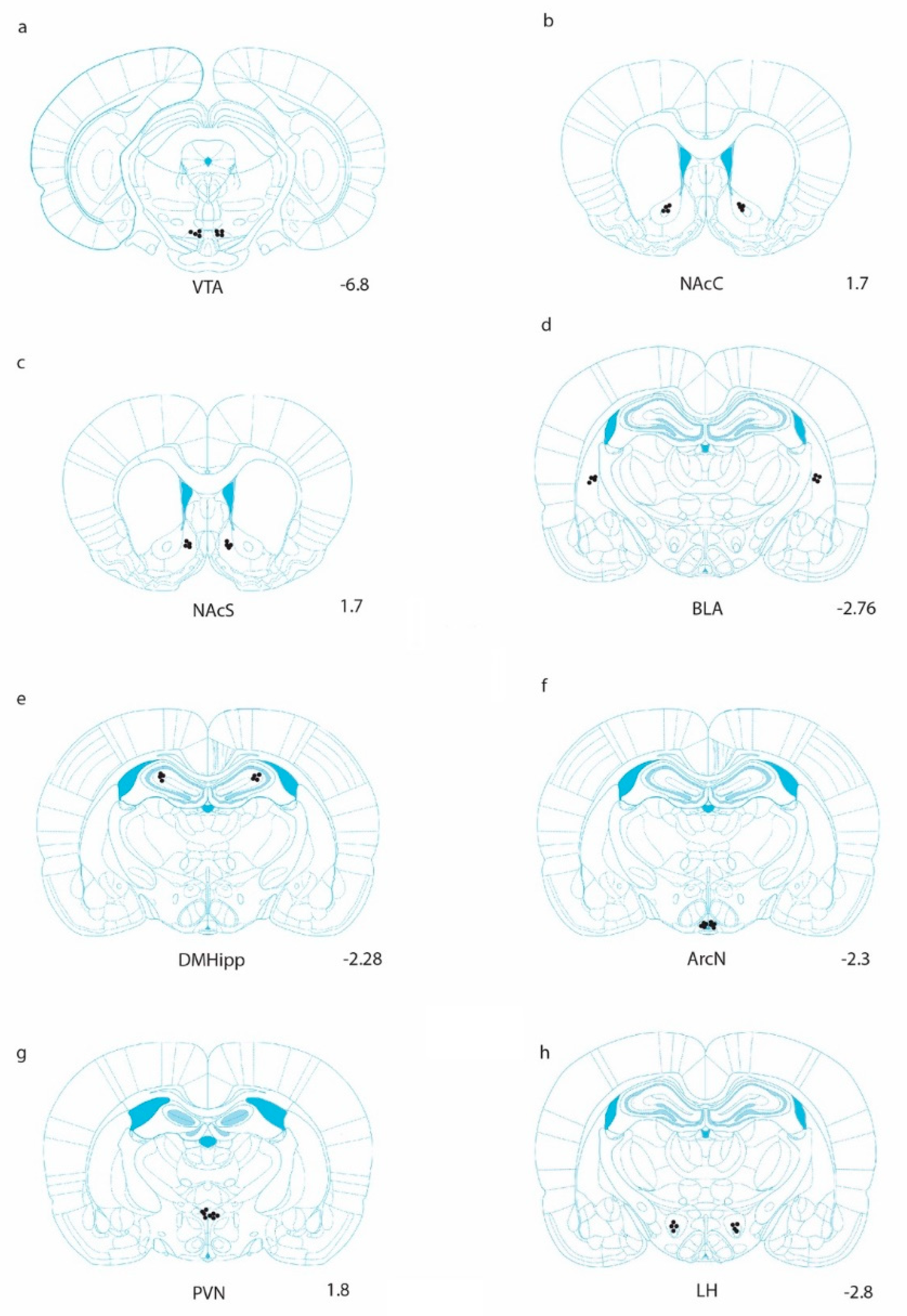 Ijms 21 09710 g001 Ijms 21 09710 g001
