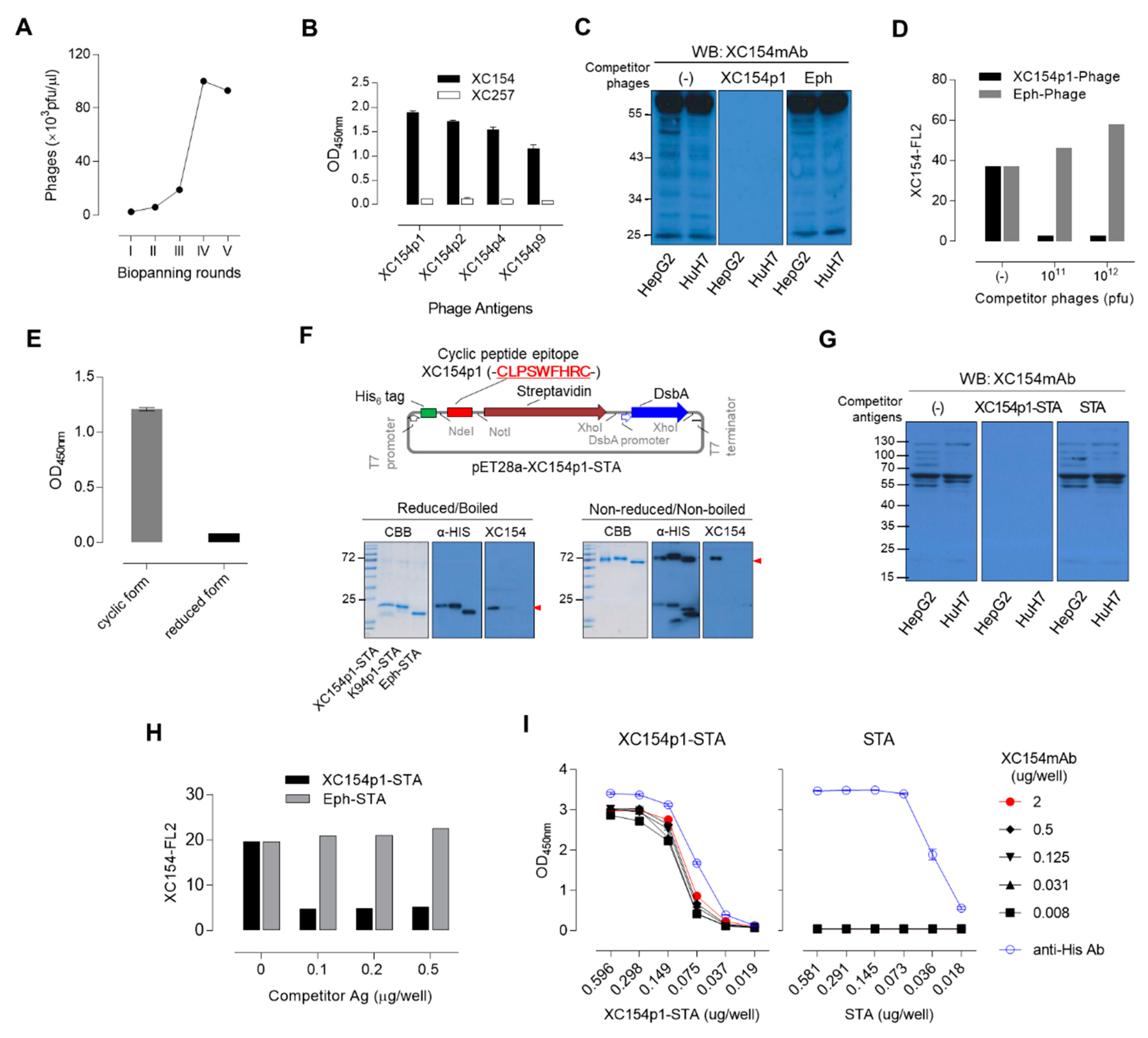 Ijms 21 09718 g003 Ijms 21 09718 g003
