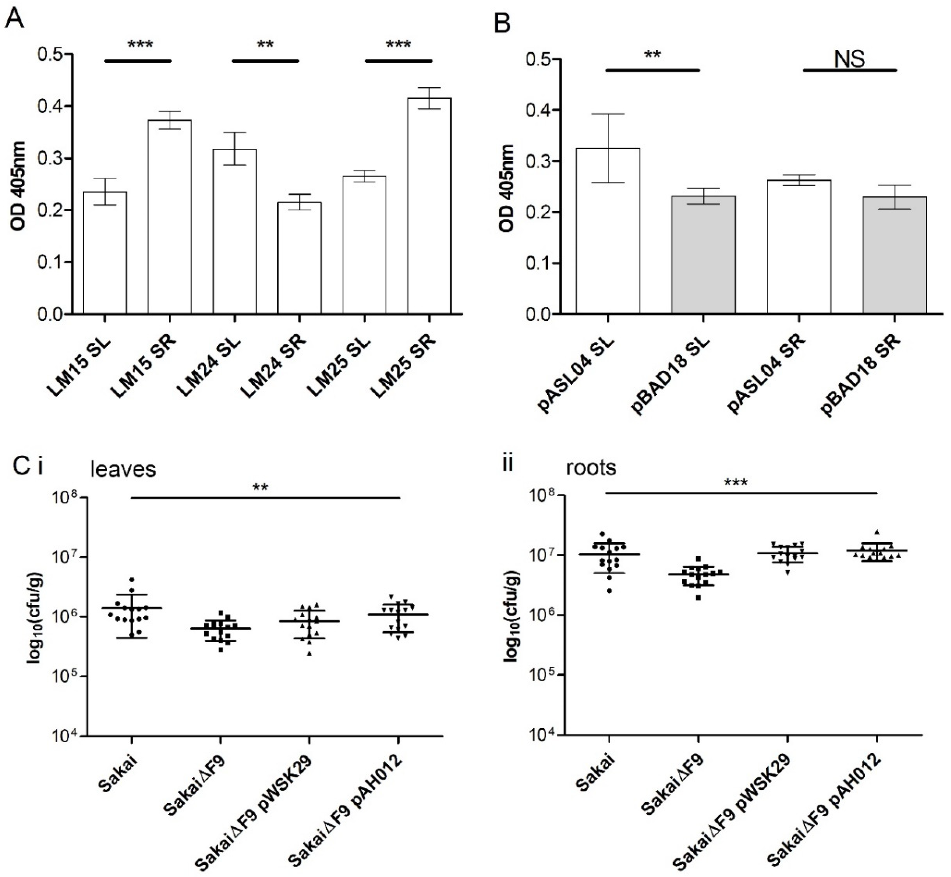 Ijms 21 09720 g003 Ijms 21 09720 g003