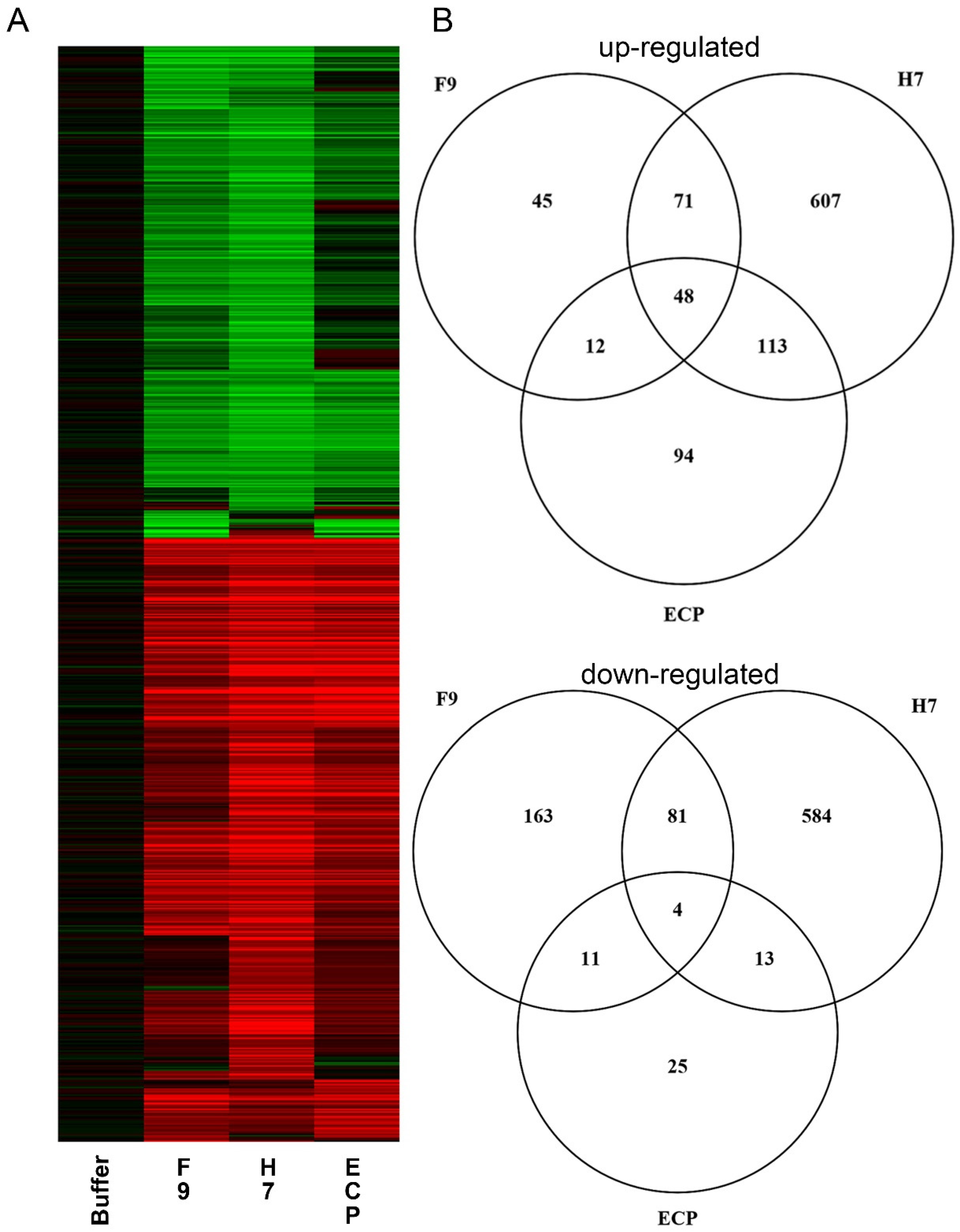 Ijms 21 09720 g005 Ijms 21 09720 g005