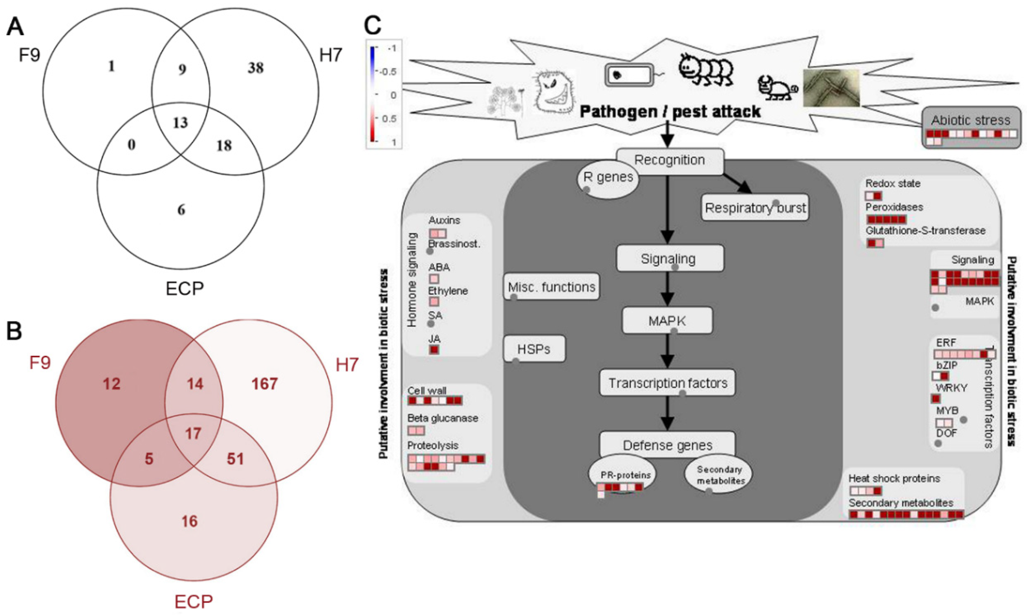 Ijms 21 09720 g006 Ijms 21 09720 g006