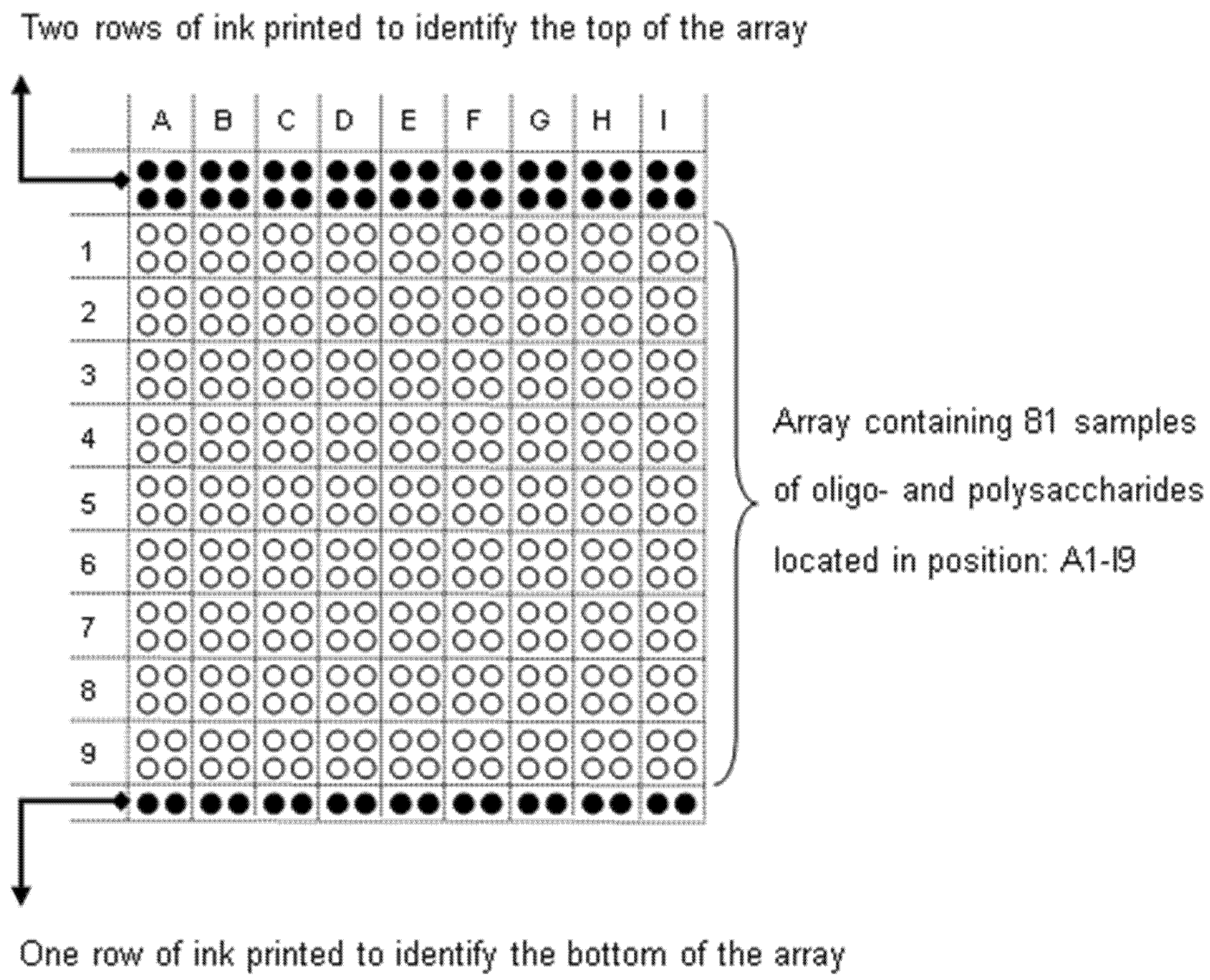 Ijms 21 09720 g007 Ijms 21 09720 g007