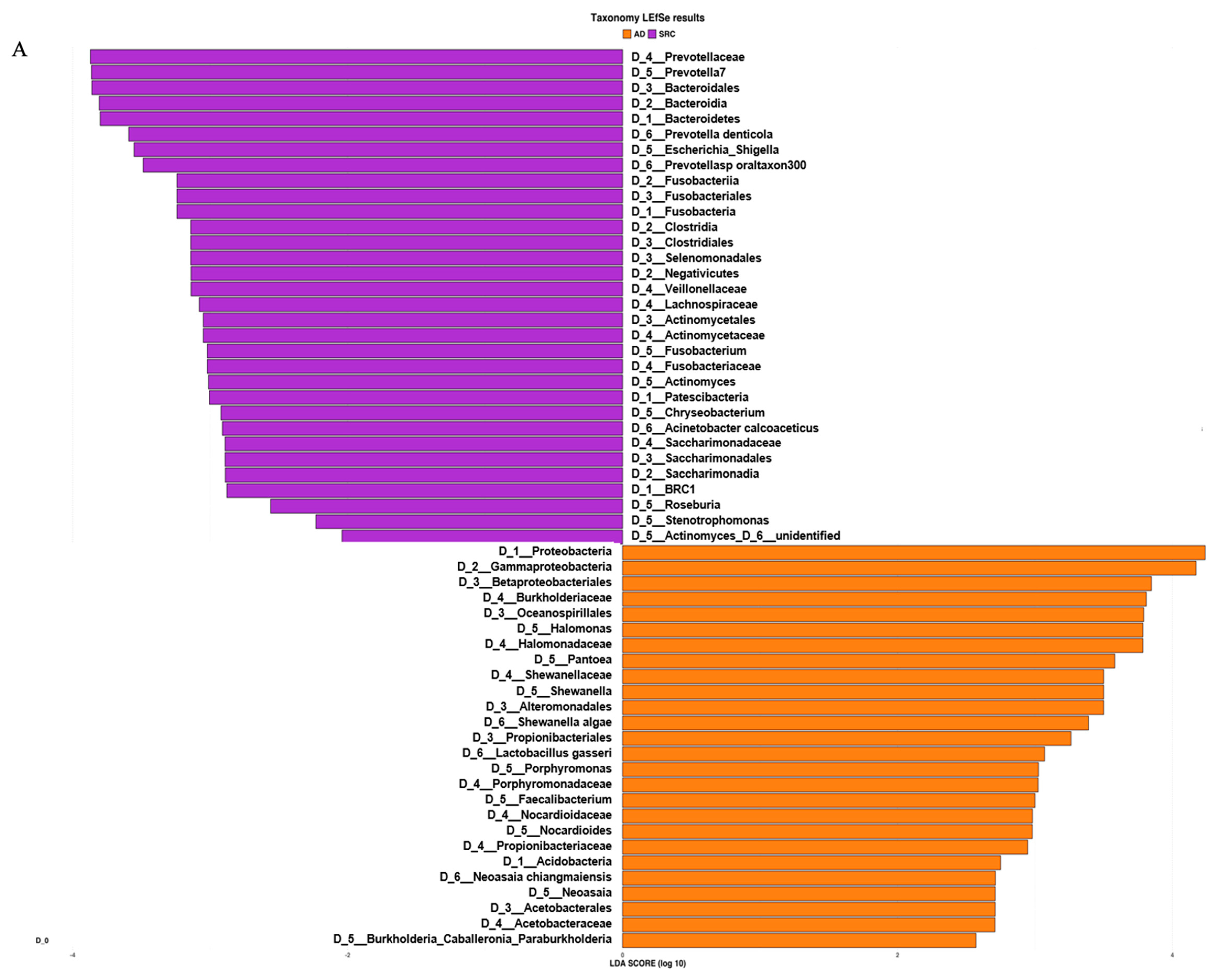 Ijms 21 09735 g003a Ijms 21 09735 g003a