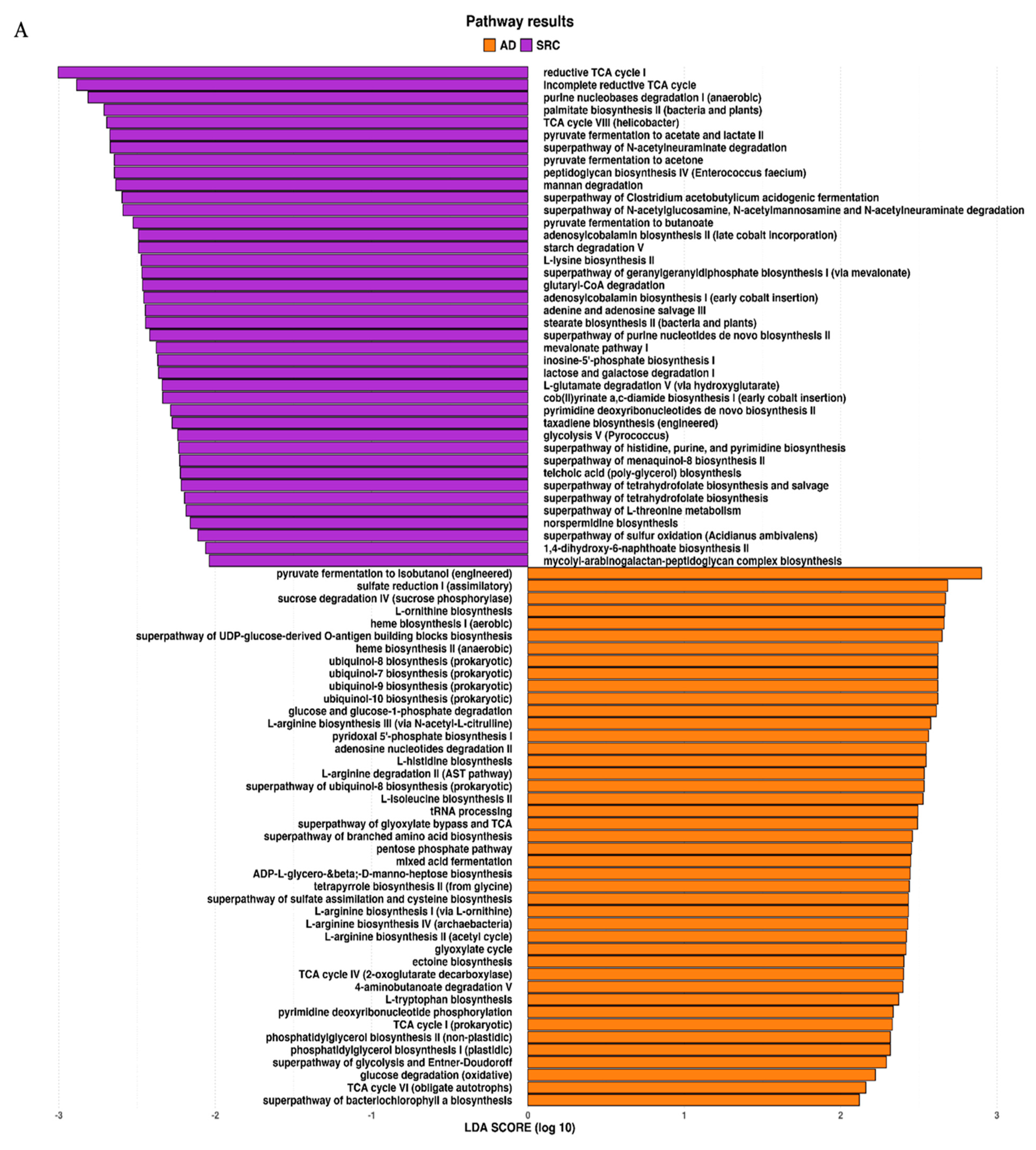 Ijms 21 09735 g004a Ijms 21 09735 g004a