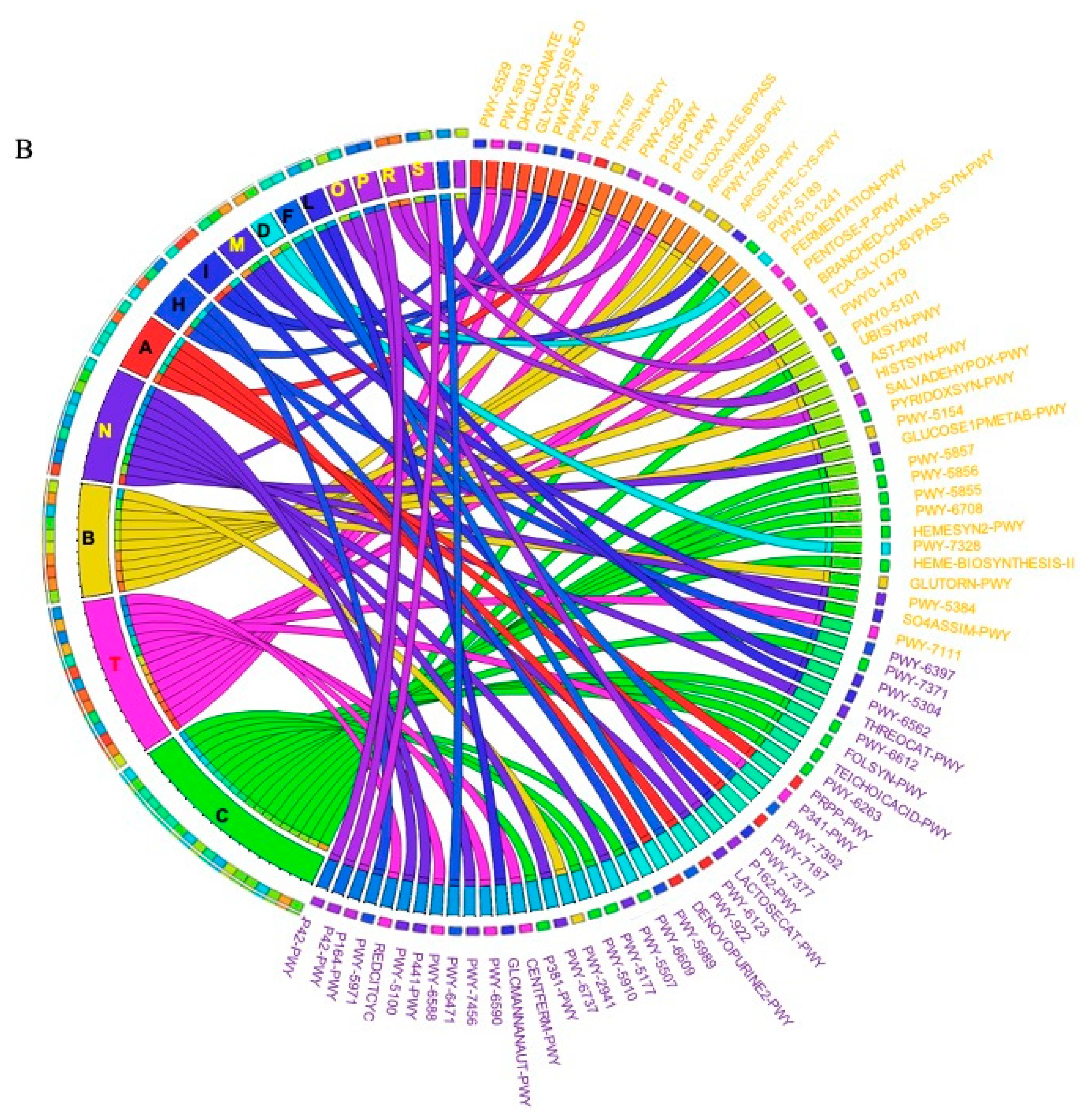 Ijms 21 09735 g004b Ijms 21 09735 g004b