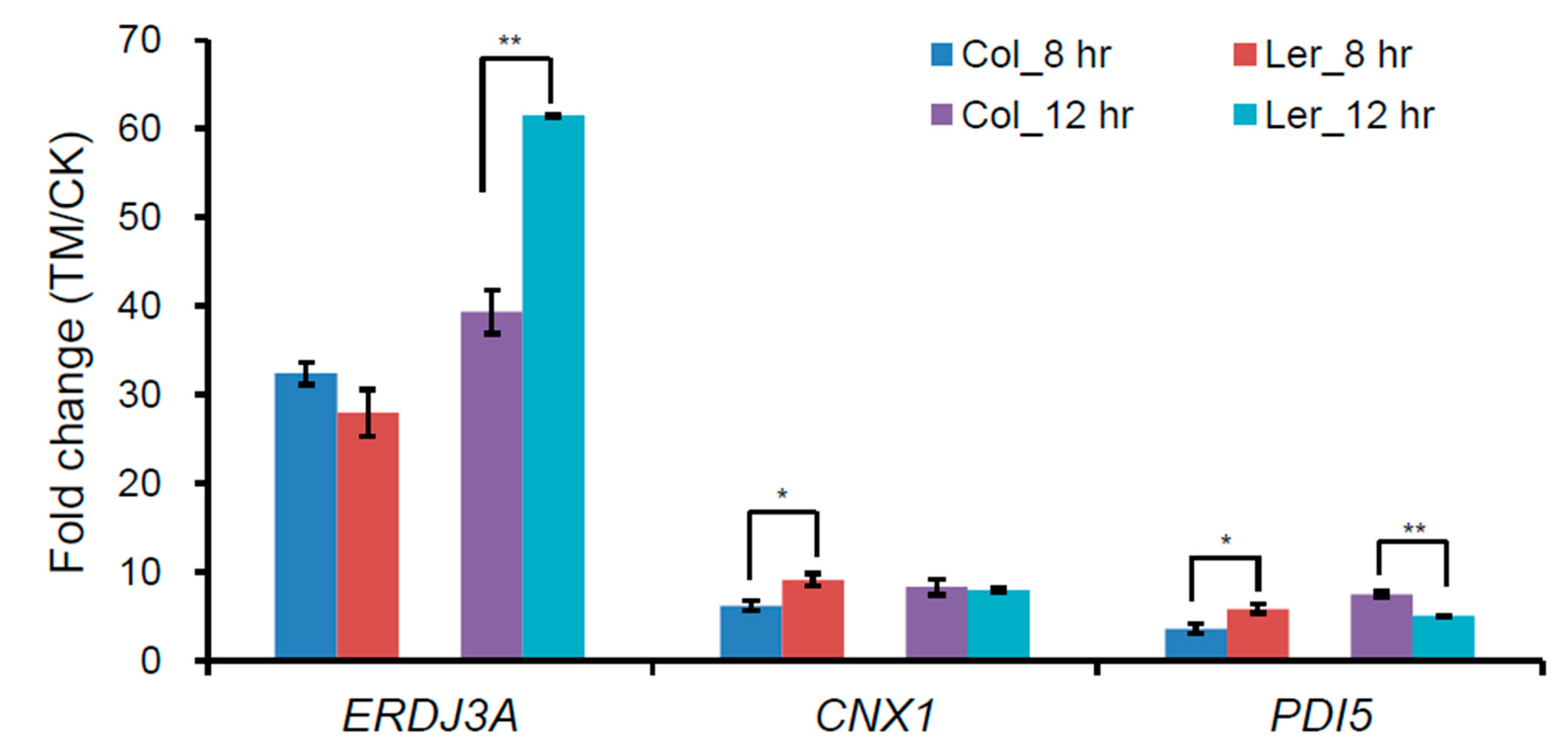 Ijms 21 09741 g002 Ijms 21 09741 g002