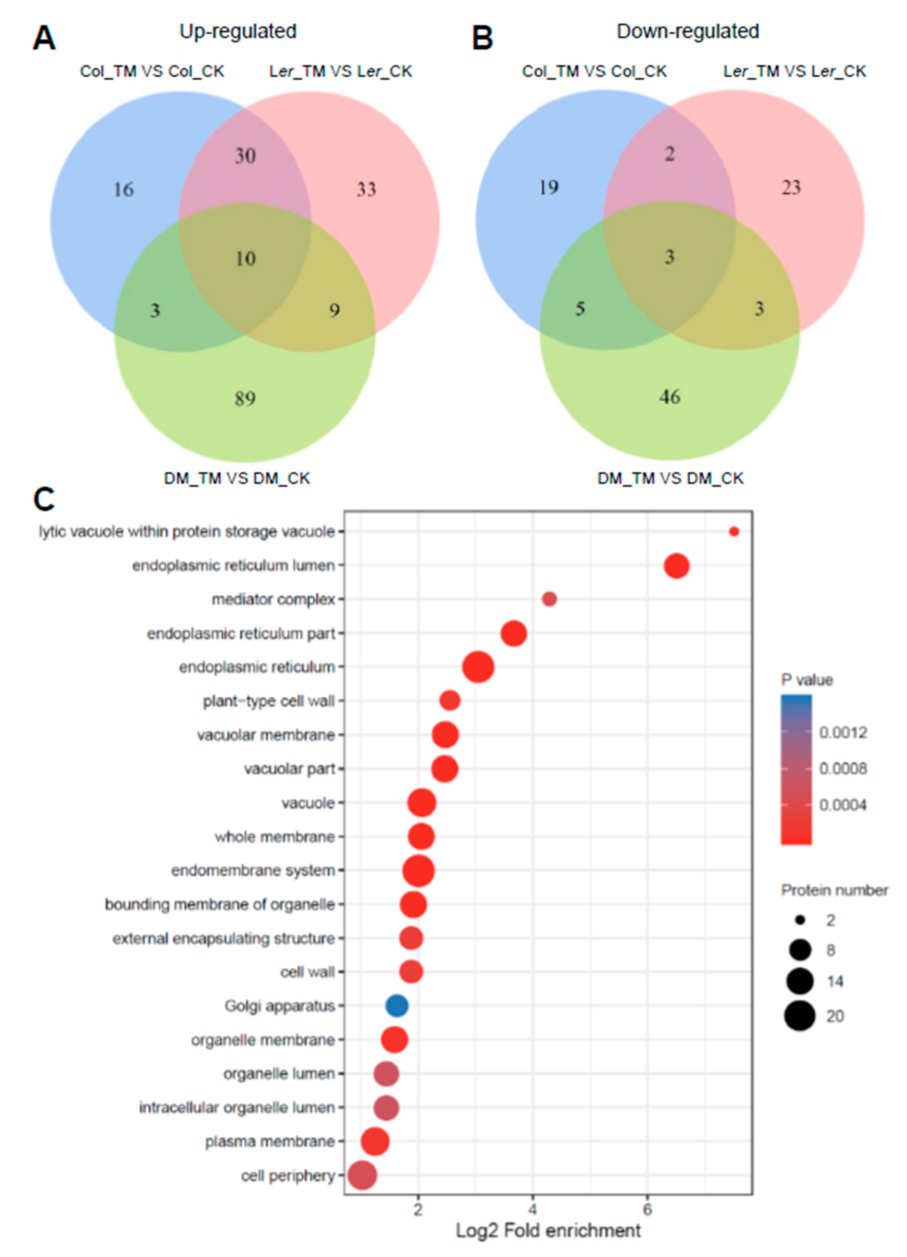 Ijms 21 09741 g005 Ijms 21 09741 g005