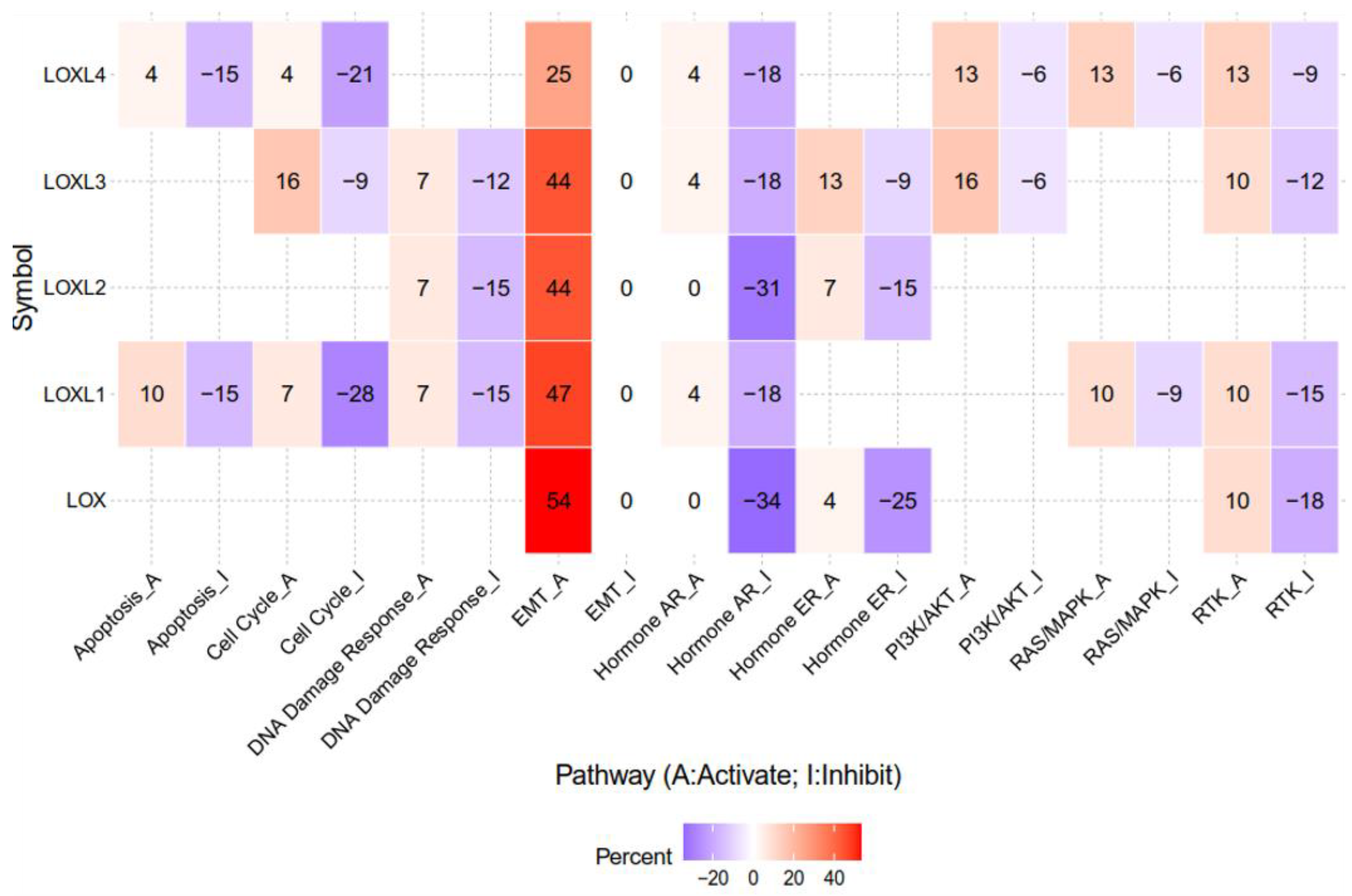 Ijms 21 09751 g002 Ijms 21 09751 g002