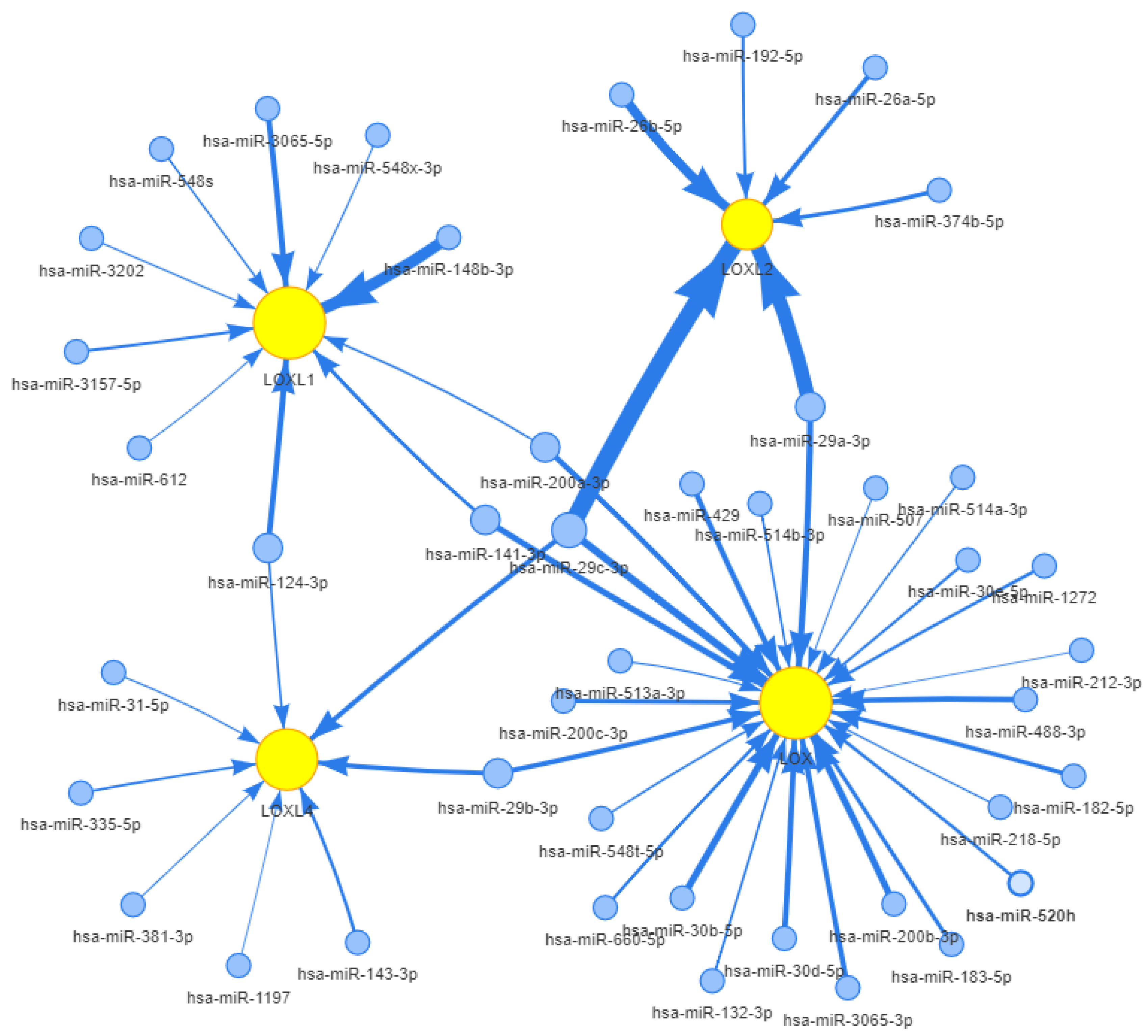 Ijms 21 09751 g003 Ijms 21 09751 g003