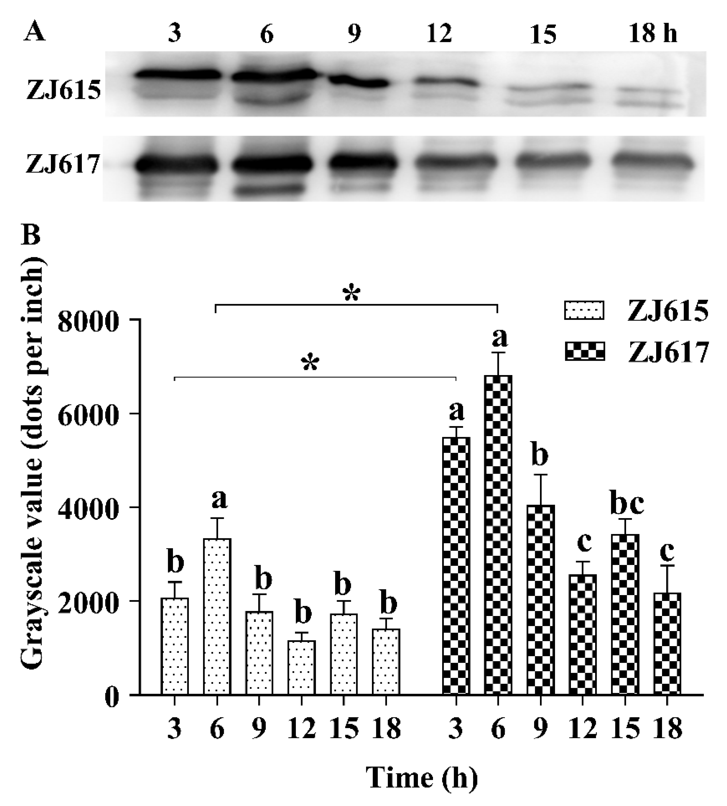 Ijms 21 09756 g001 Ijms 21 09756 g001