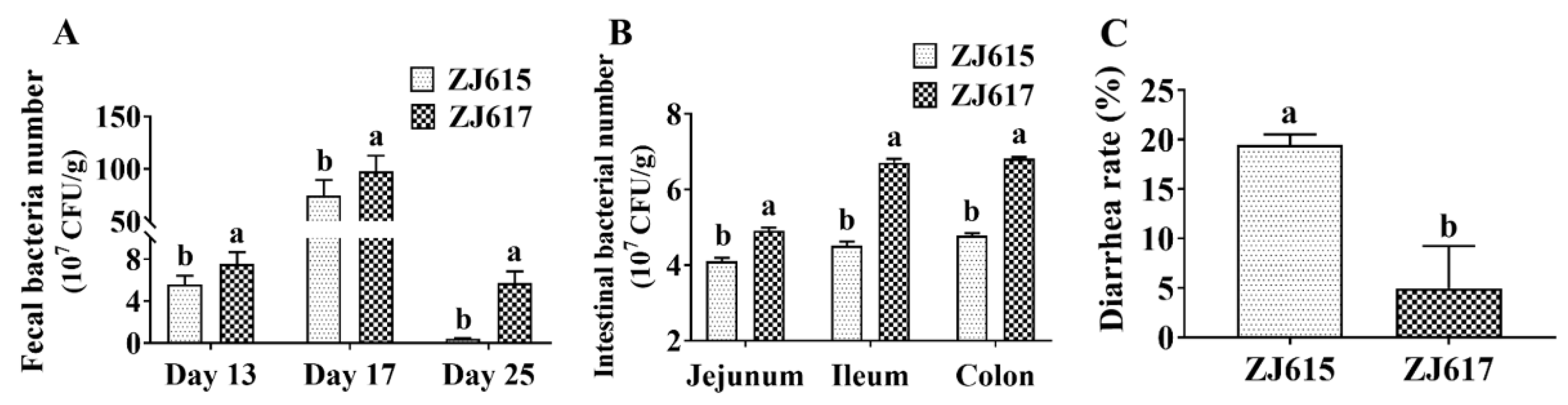 Ijms 21 09756 g007 Ijms 21 09756 g007