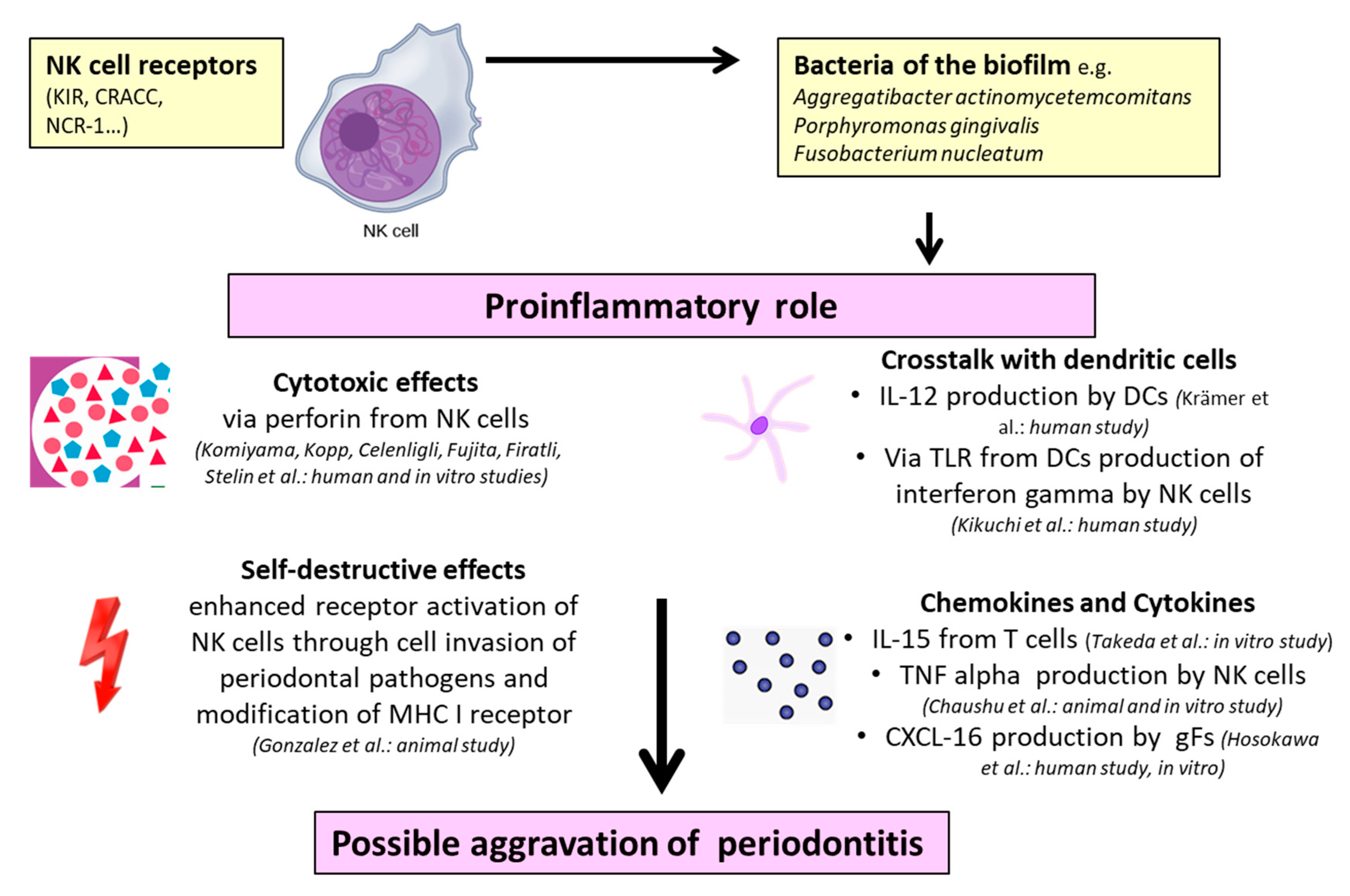 Ijms 21 09766 g003 Ijms 21 09766 g003